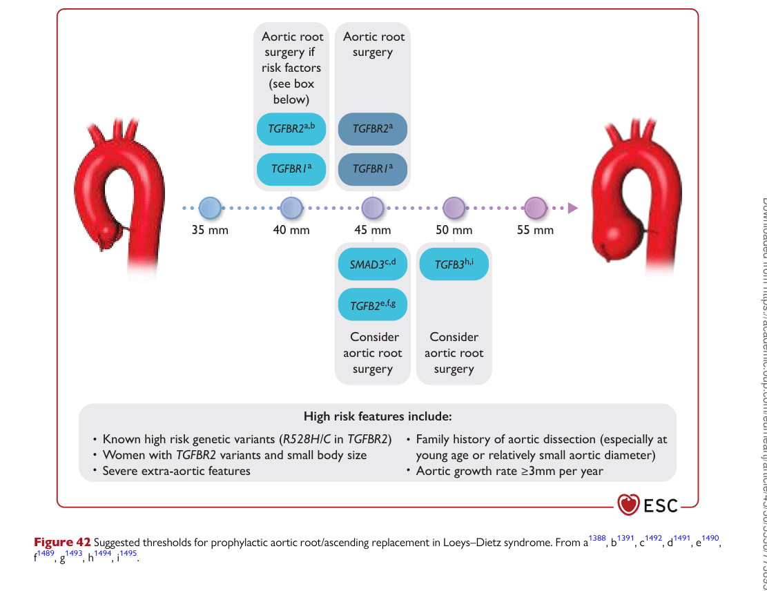 ESC 2024 PAAD — Figure 42