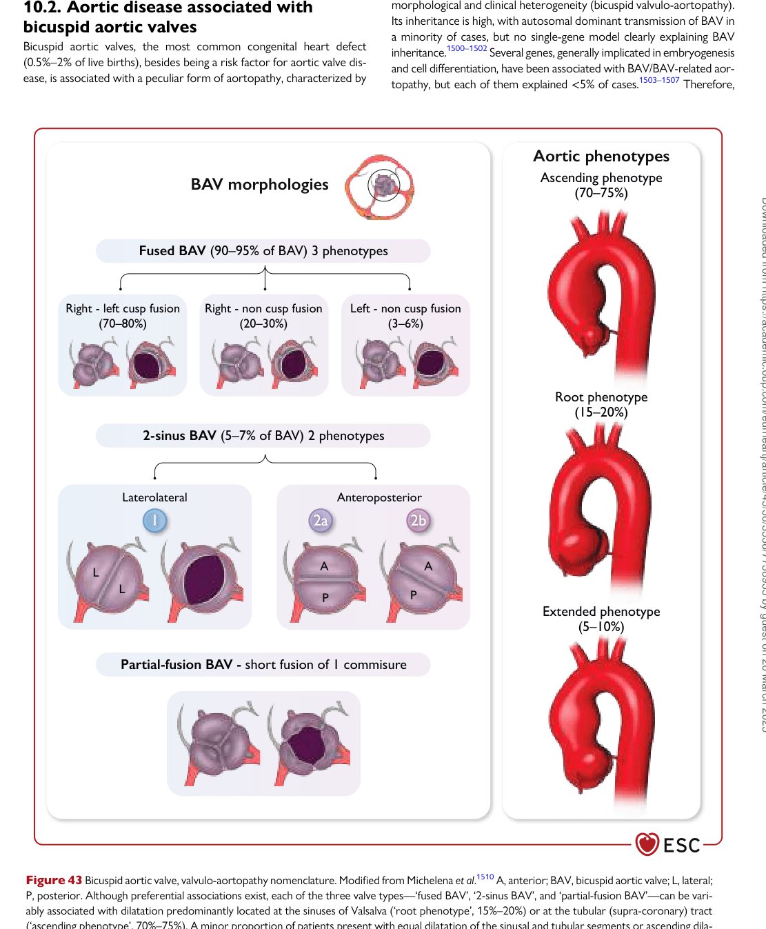 ESC 2024 PAAD — Figure 43