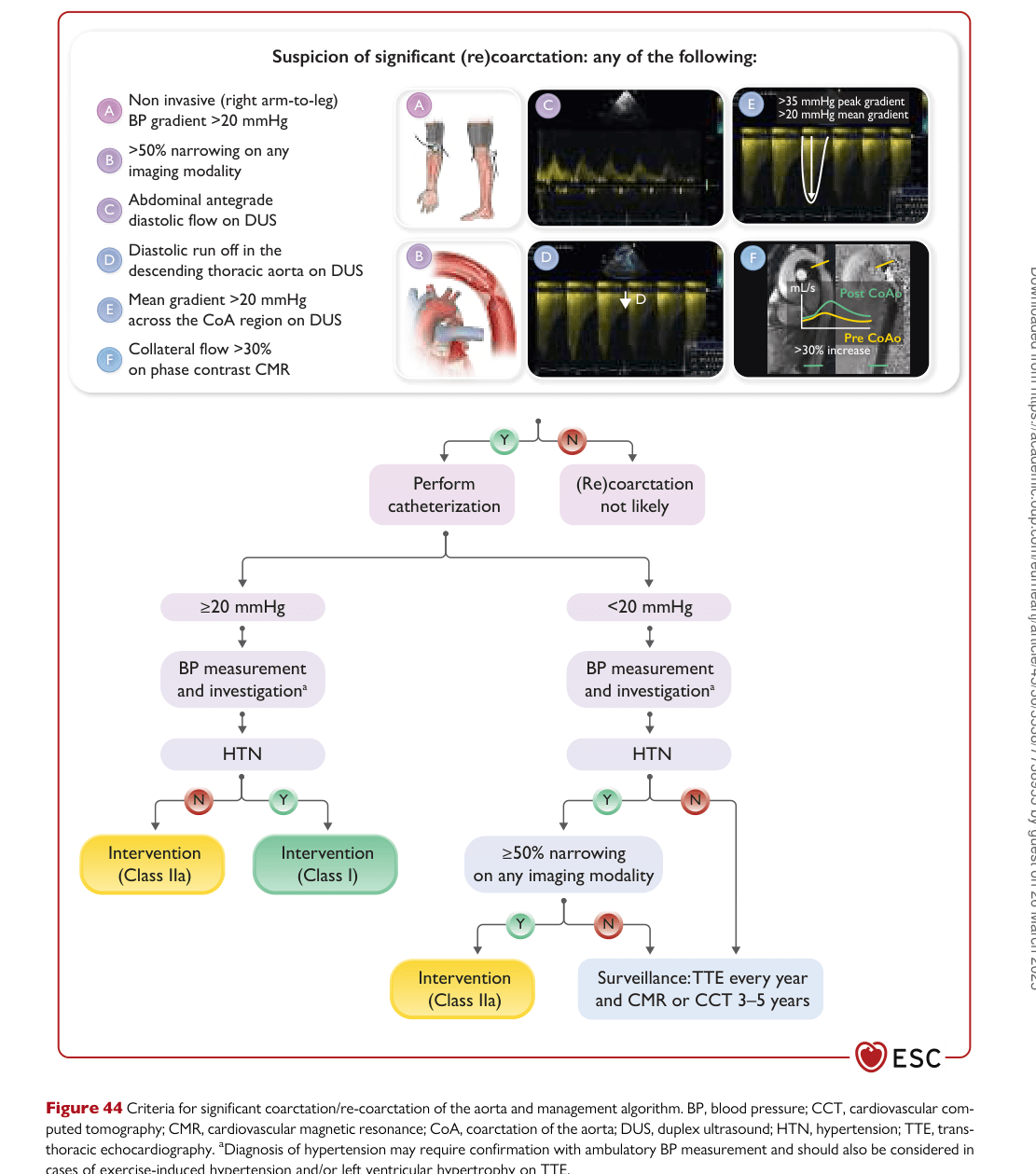 ESC 2024 PAAD — Figure 44