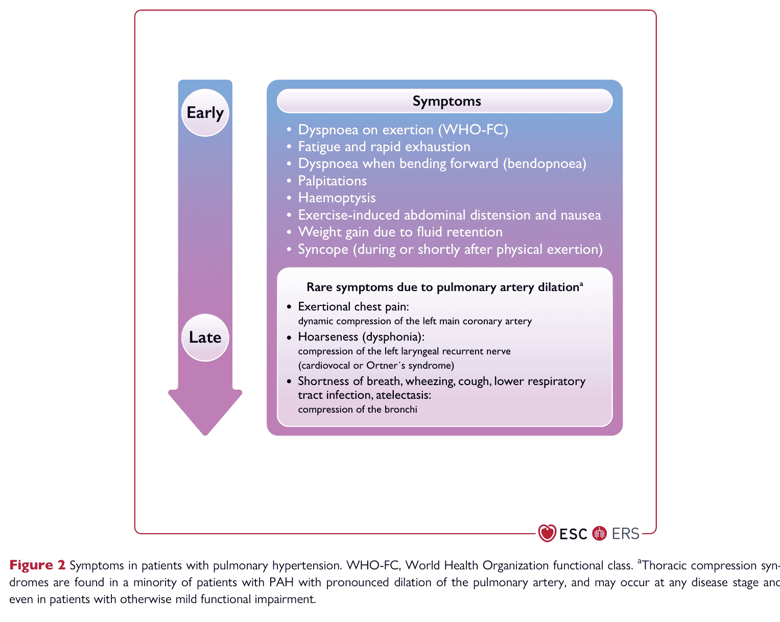 ESC PH 2022 — Figure 2 Symptoms