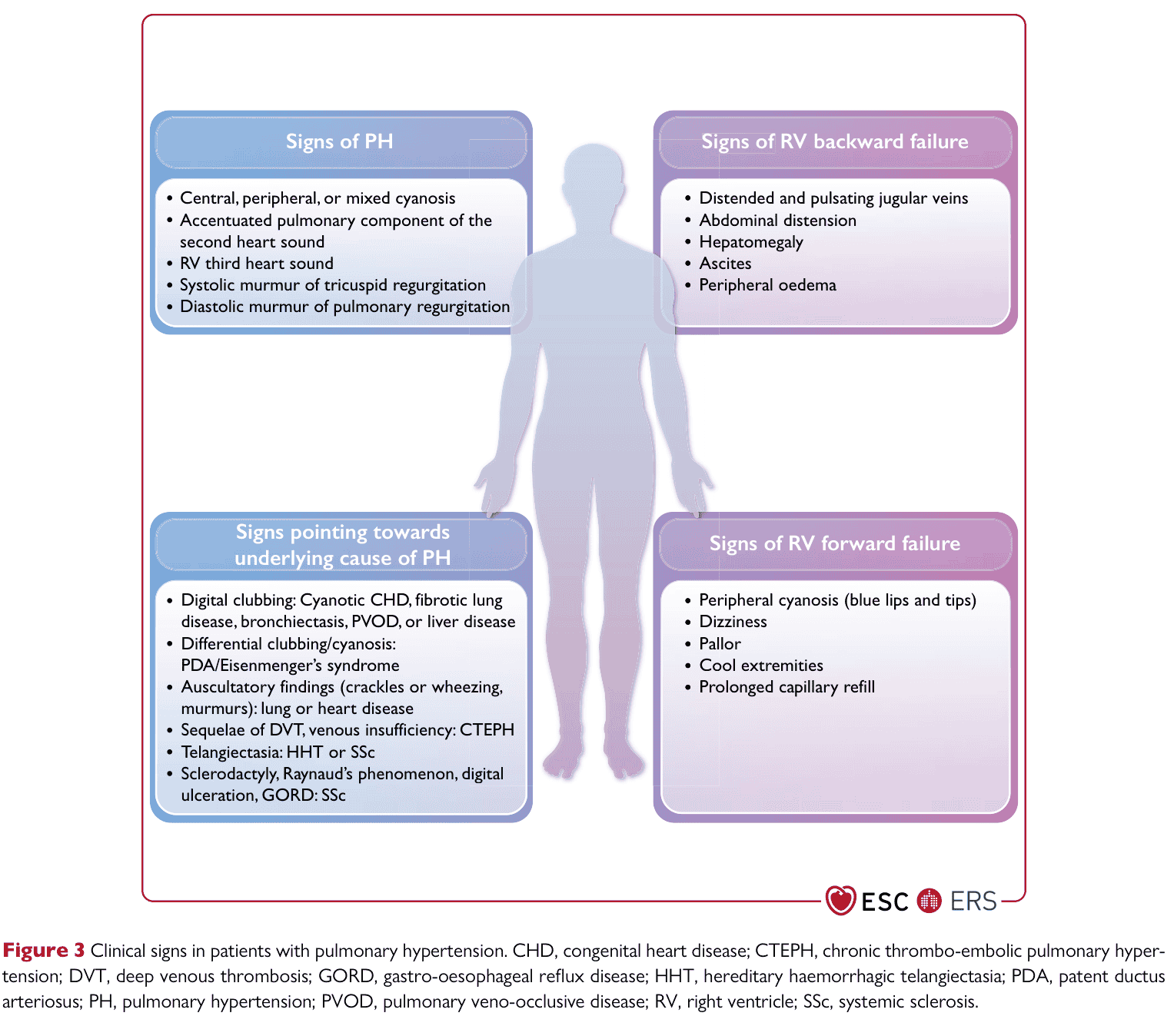 ESC PH 2022 — Figure 3 Clinical signs