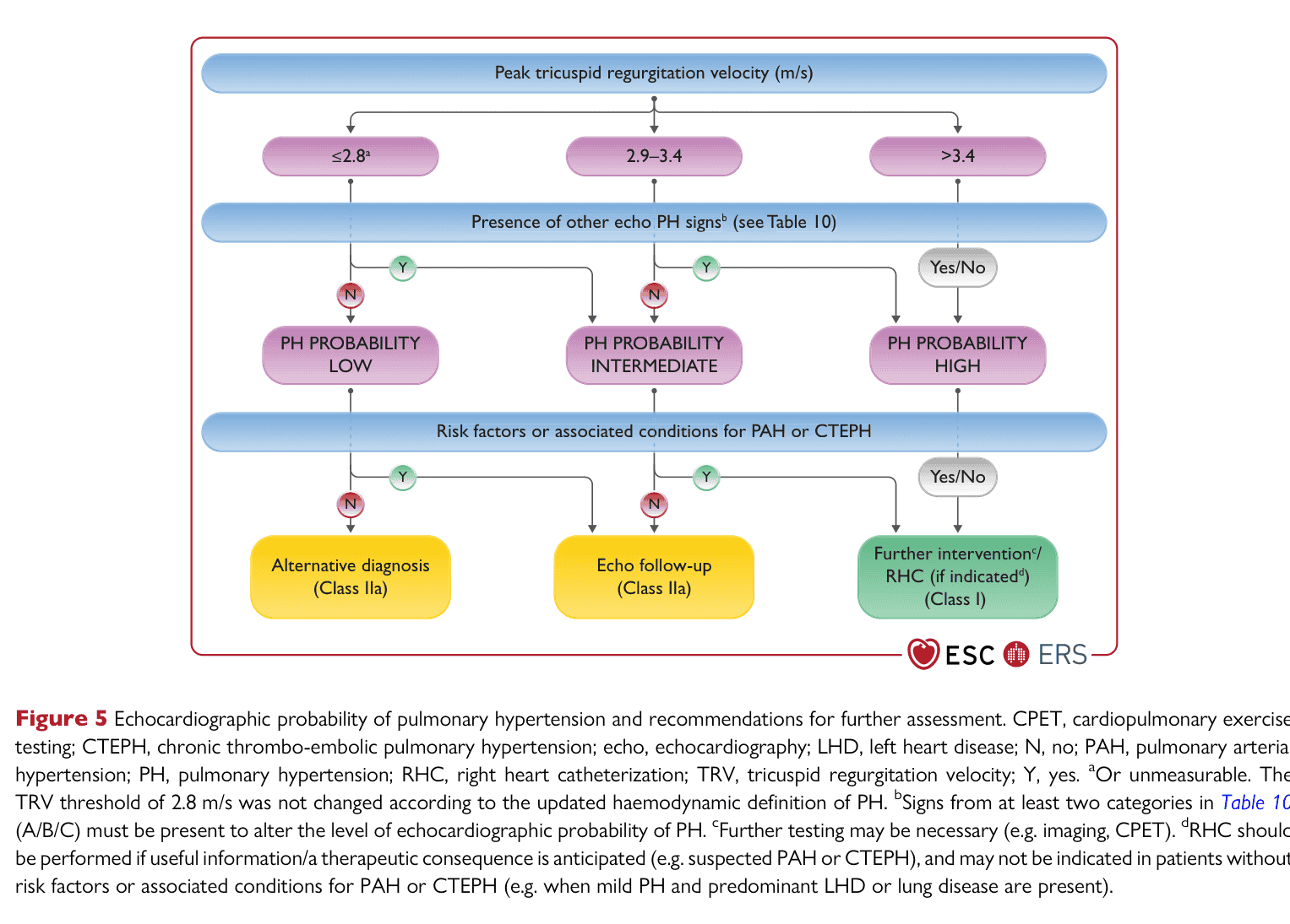 ESC PH 2022 — Figure 5 echocardiographic probability
