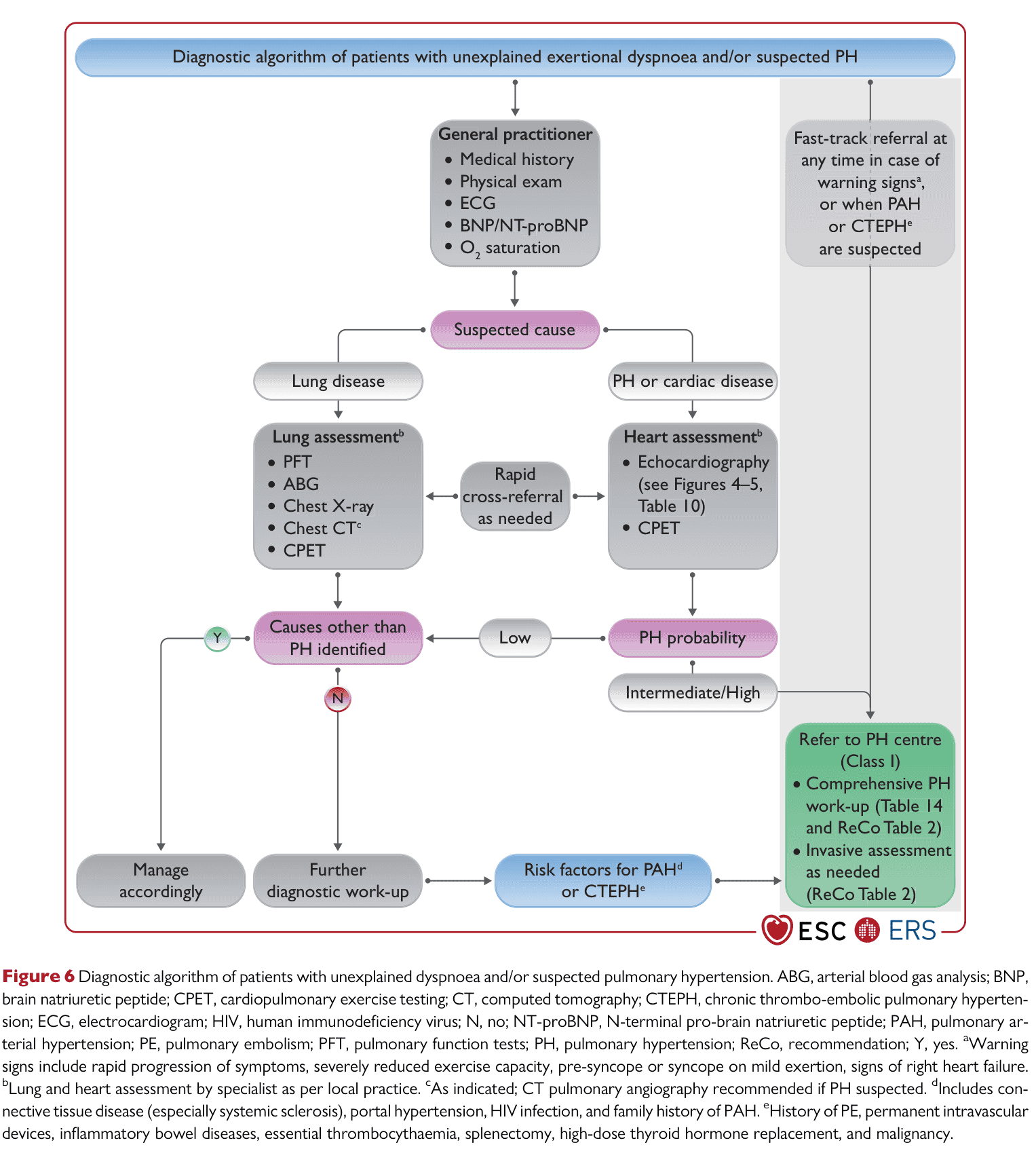 ESC PH 2022 — Figure 6 diagnostic algorithm