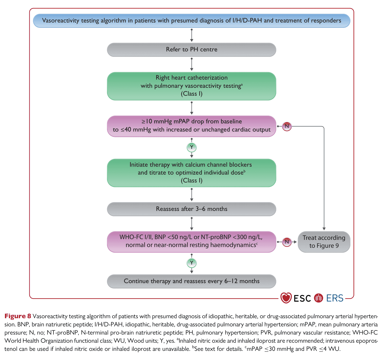 ESC PH 2022 — Figure 8 vasoreactivity testing