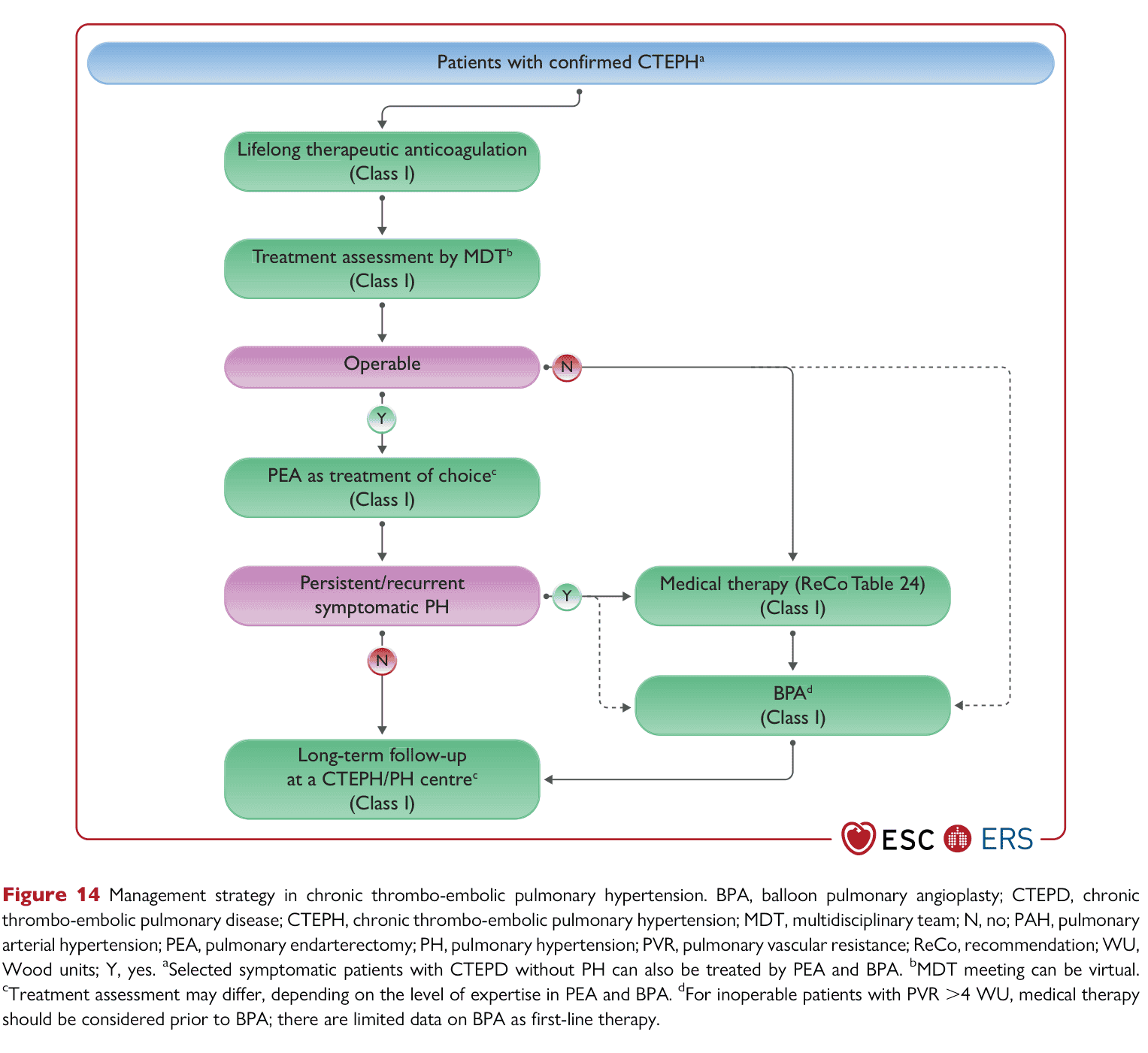 ESC PH 2022 — Figure 14 CTEPH management strategy