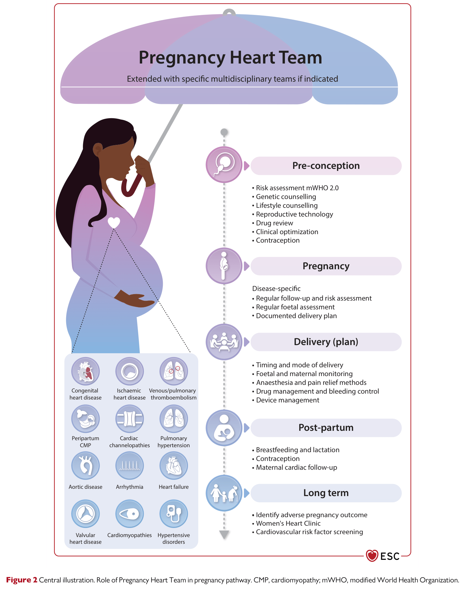 ESC 2025 Pregnancy — Figure 2 Central illustration: Role of Pregnancy Heart Team