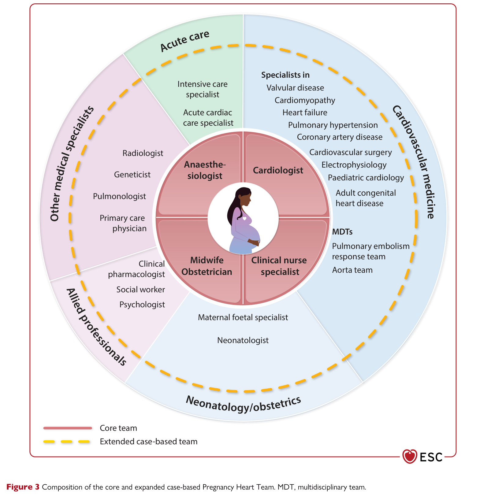 ESC 2025 Pregnancy — Figure 3 Composition of Pregnancy Heart Team