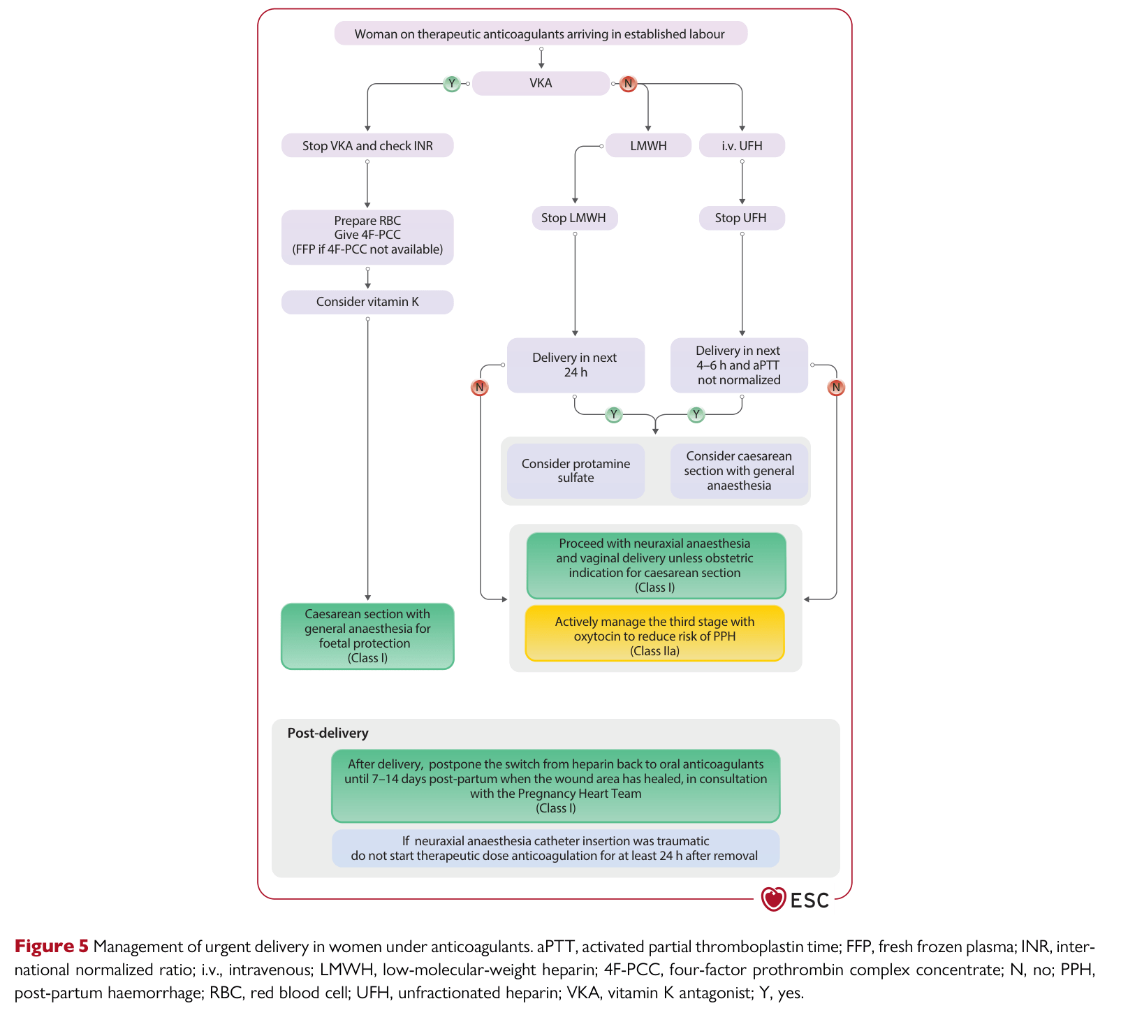 ESC 2025 Pregnancy — Figure 5 Management of urgent delivery in women on anticoagulants