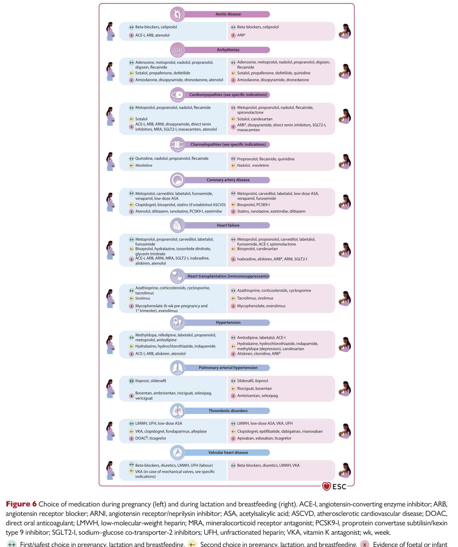 ESC 2025 Pregnancy — Figure 6 Drugs during pregnancy and lactation