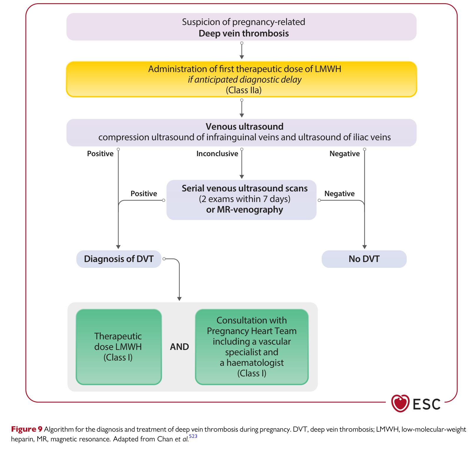 ESC 2025 Pregnancy — Figure 9 DVT diagnosis and treatment algorithm