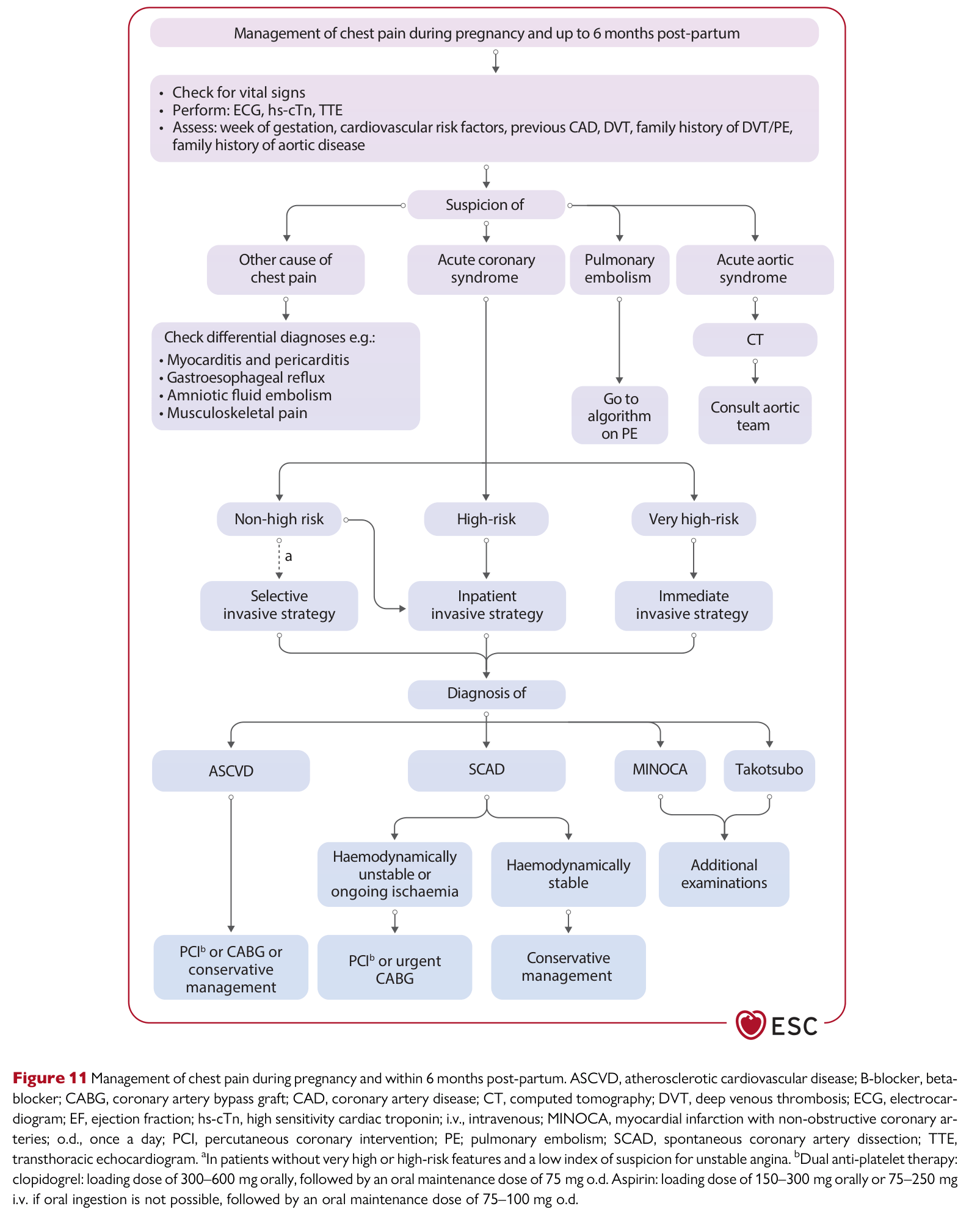 ESC 2025 Pregnancy — Figure 11 Management of chest pain during pregnancy