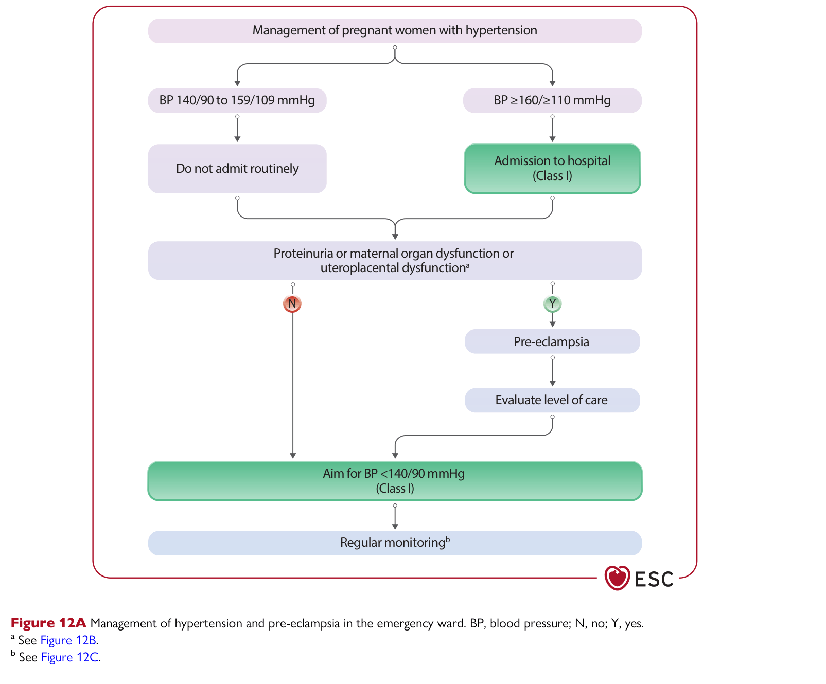 ESC 2025 Pregnancy — Figure 12A HDP emergency ward algorithm