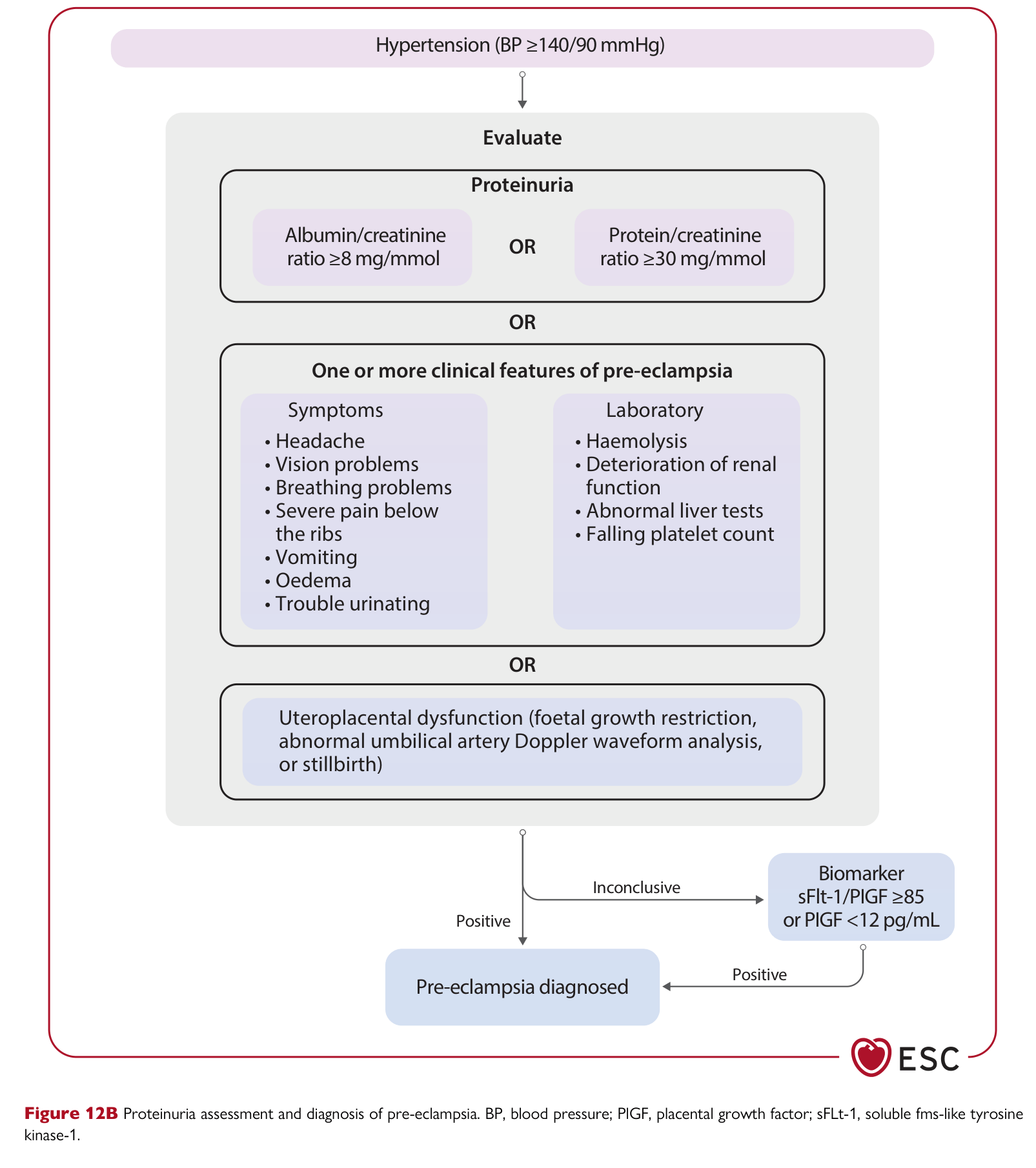 ESC 2025 Pregnancy — Figure 12B Proteinuria assessment and pre-eclampsia diagnosis