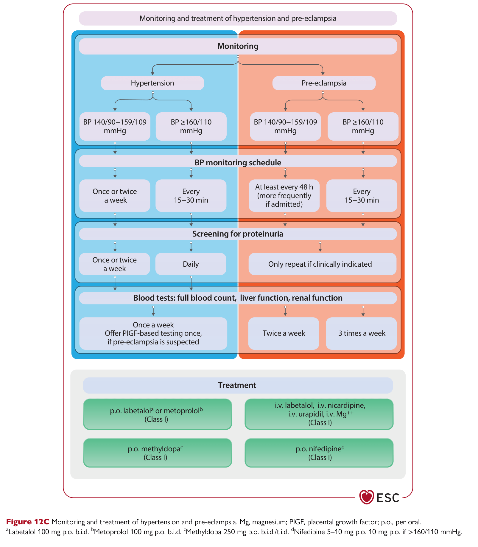 ESC 2025 Pregnancy — Figure 12C Monitoring and treatment of HTN and pre-eclampsia