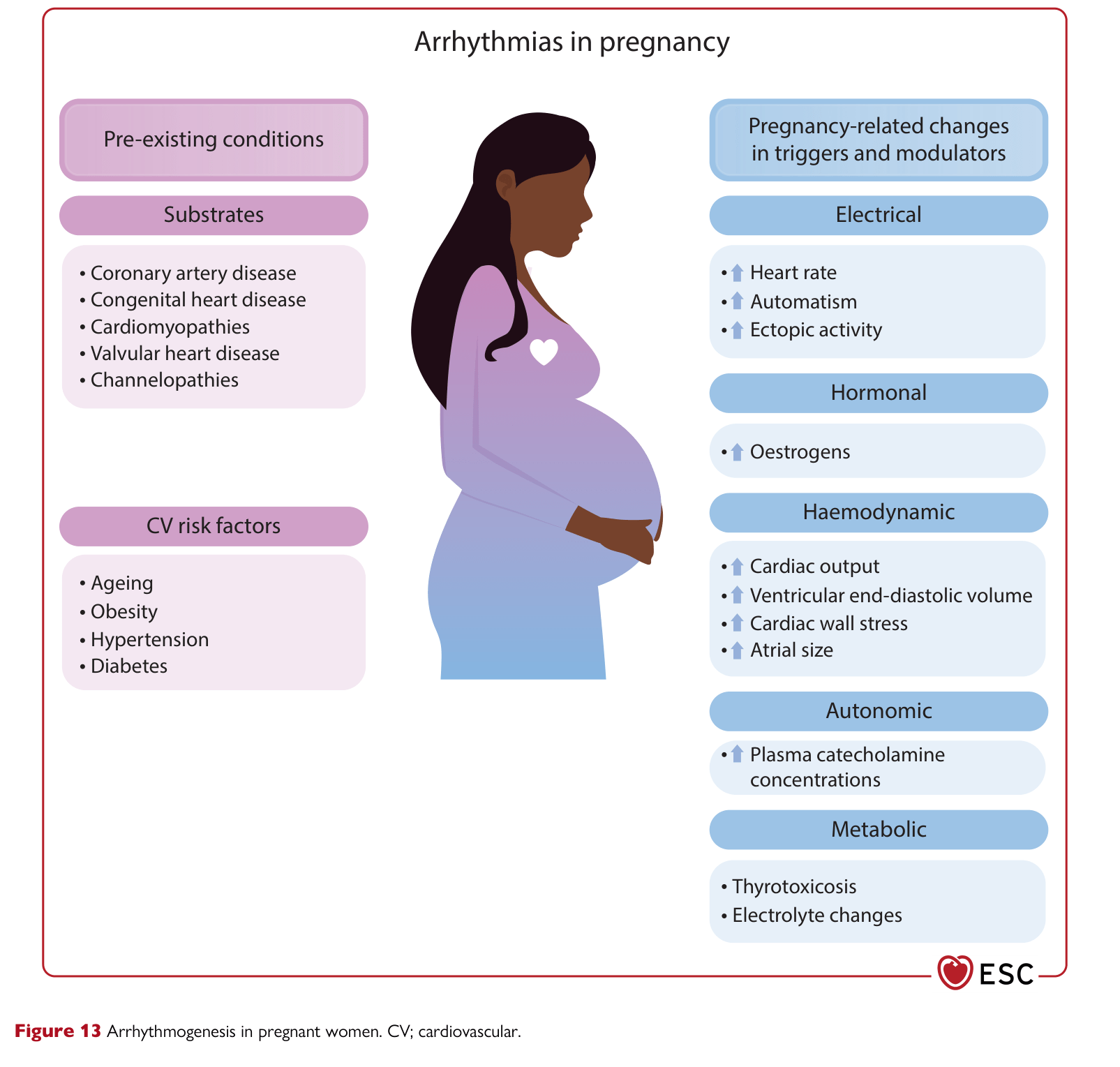 ESC 2025 Pregnancy — Figure 13 Arrhythmogenesis in pregnant women