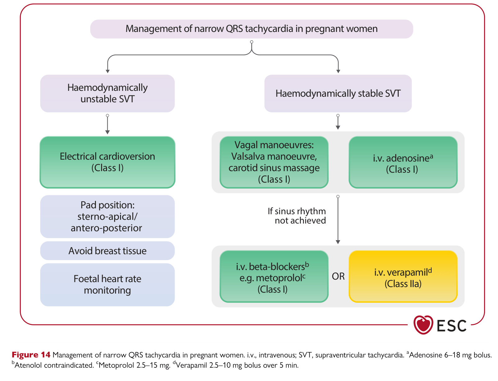 ESC 2025 Pregnancy — Figure 14 Narrow QRS tachycardia management