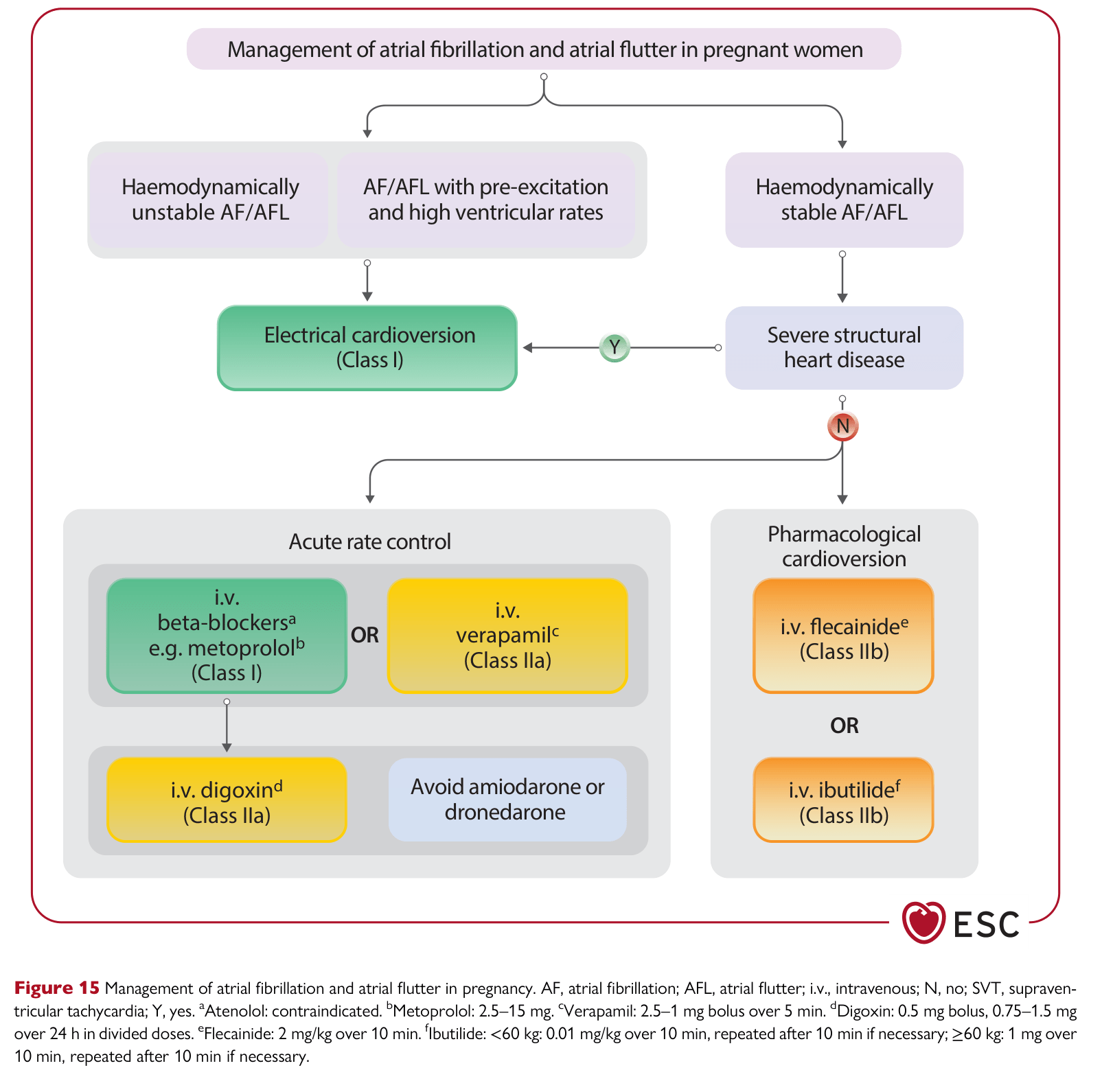 ESC 2025 Pregnancy — Figure 15 AF/AFL management