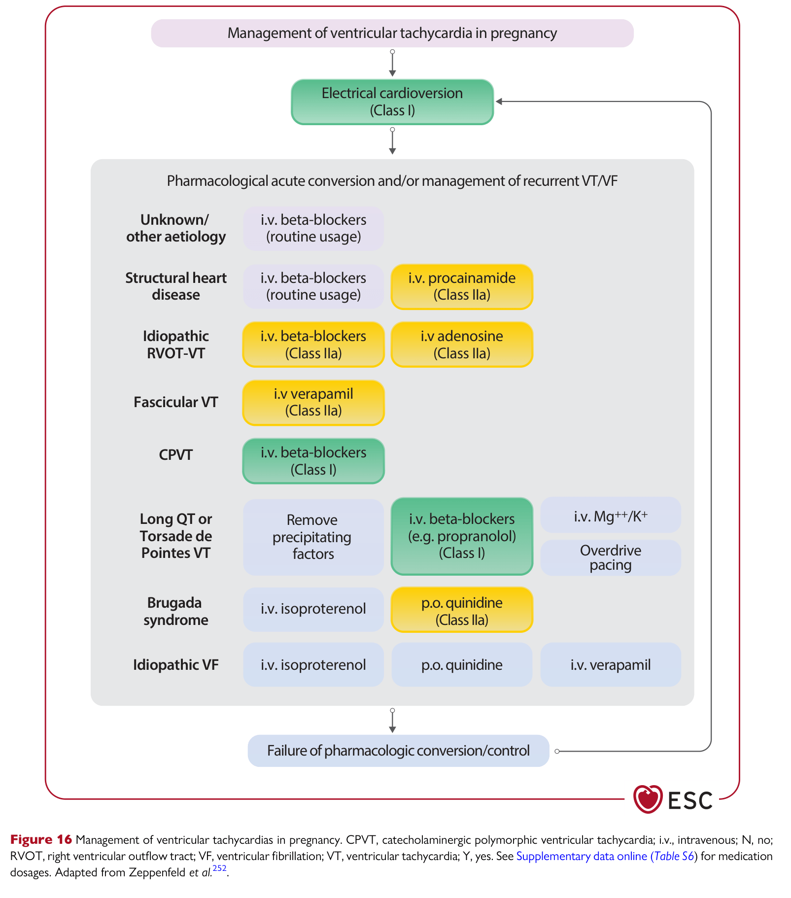 ESC 2025 Pregnancy — Figure 16 VT management in pregnancy