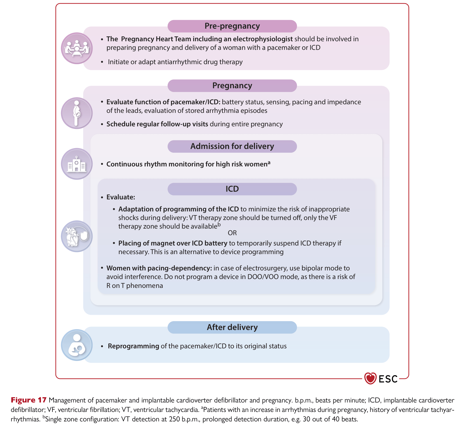 ESC 2025 Pregnancy — Figure 17 PM/ICD management during pregnancy