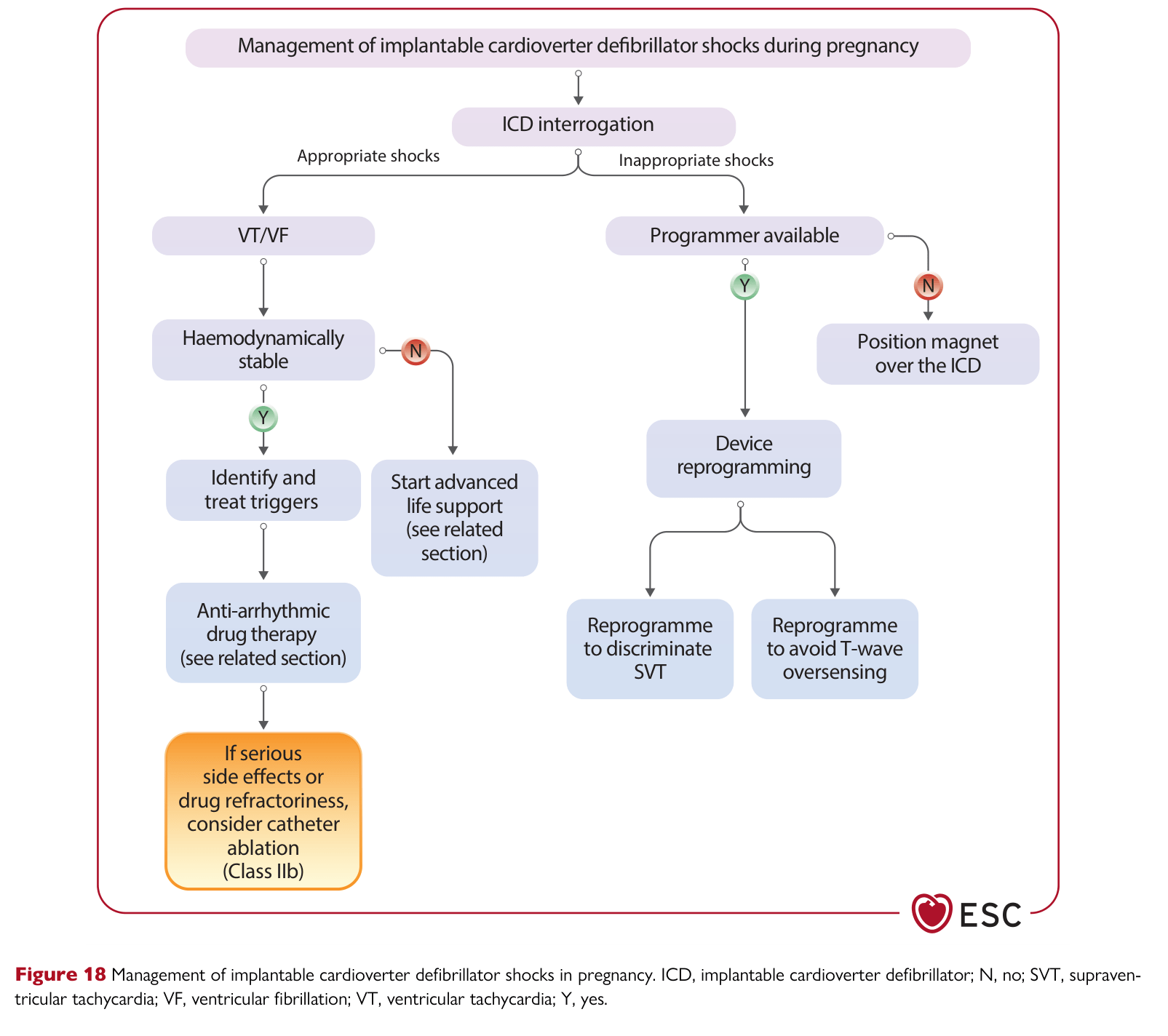 ESC 2025 Pregnancy — Figure 18 ICD shocks management