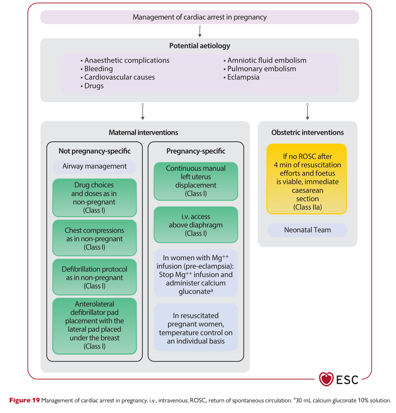 ESC 2025 Pregnancy — Figure 19 Cardiac arrest in pregnancy
