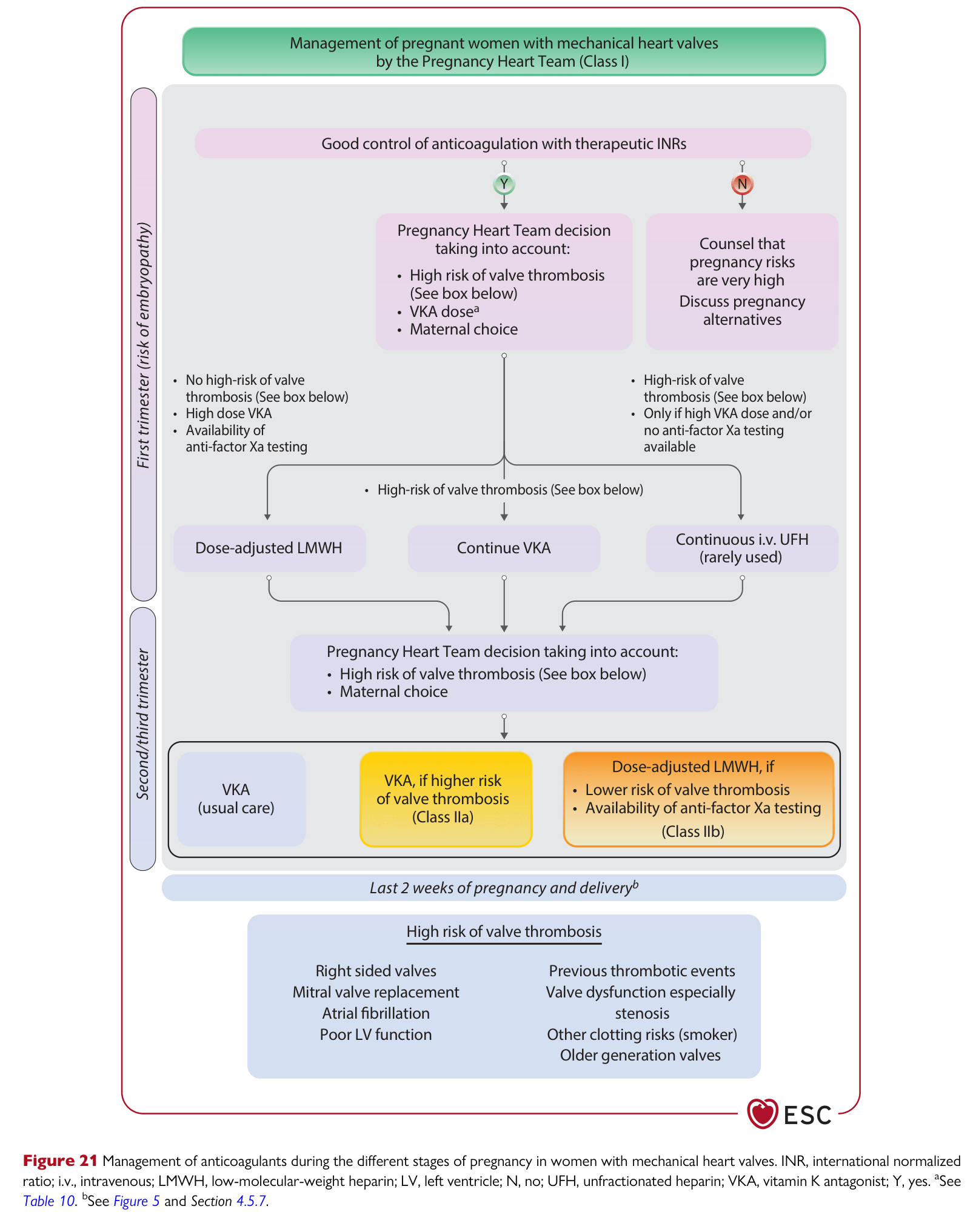 ESC 2025 Pregnancy — Figure 21 MHV anticoagulation across pregnancy stages