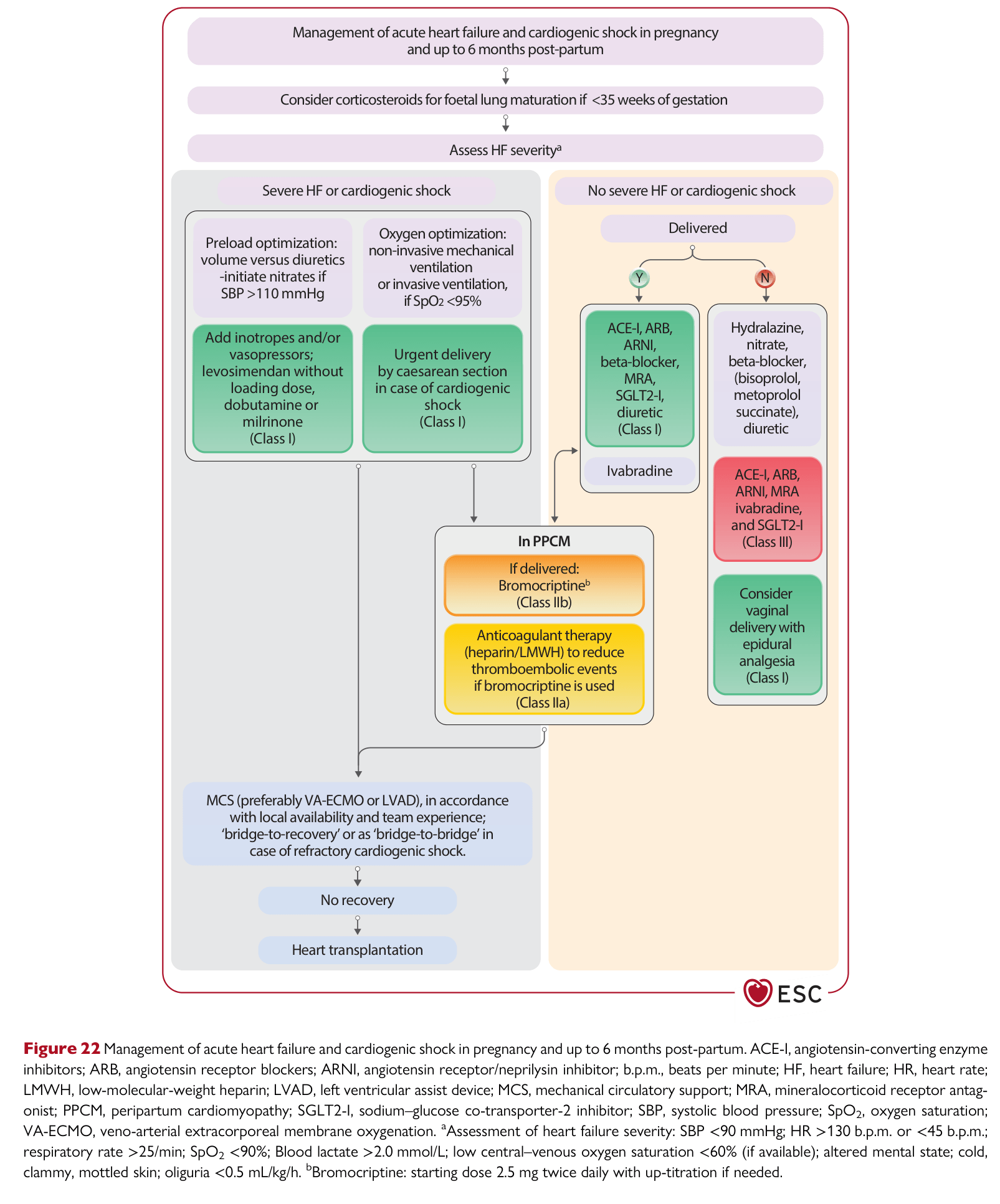 ESC 2025 Pregnancy — Figure 22 Acute HF / cardiogenic shock management