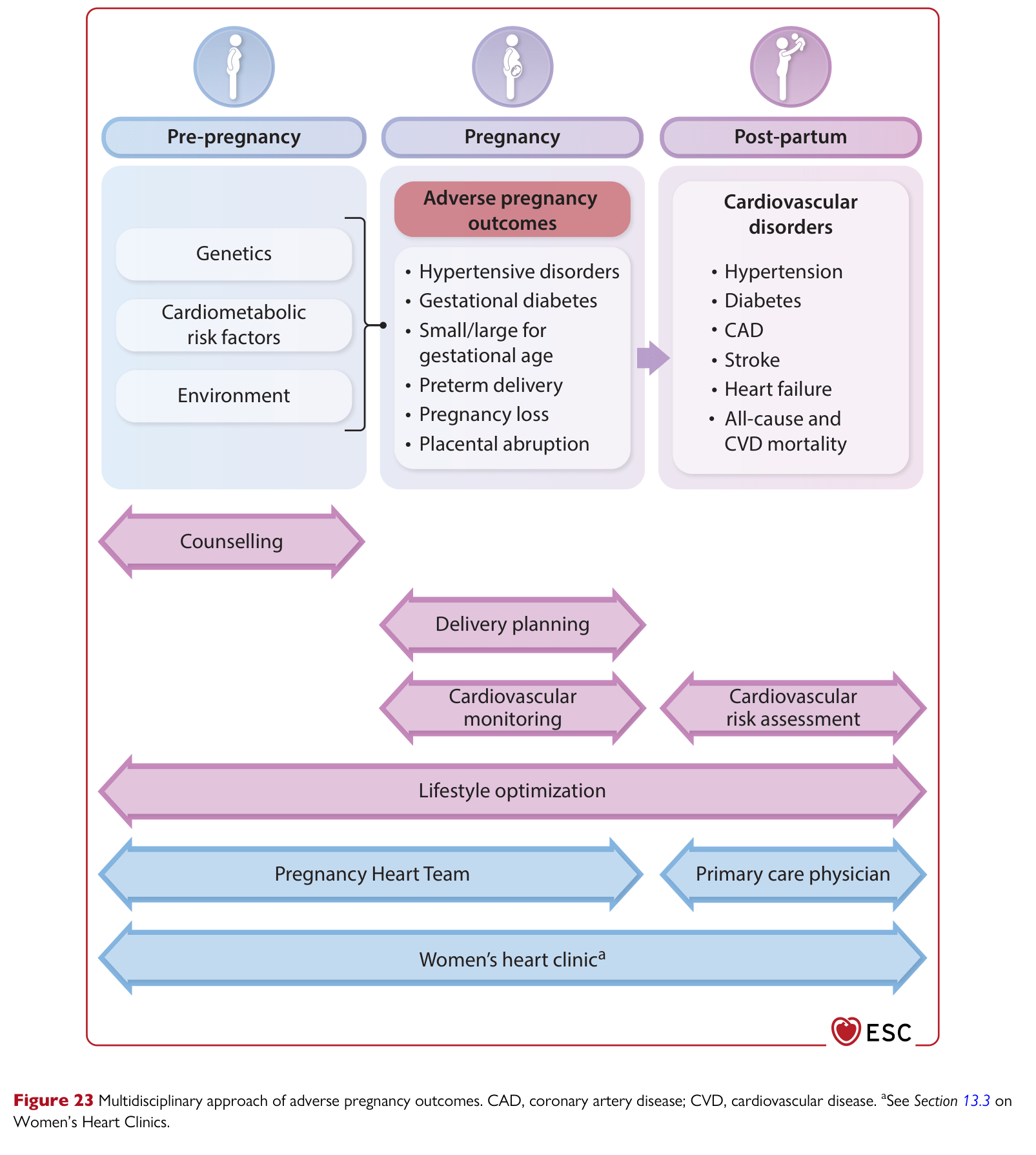 ESC 2025 Pregnancy — Figure 23 Multidisciplinary APO approach