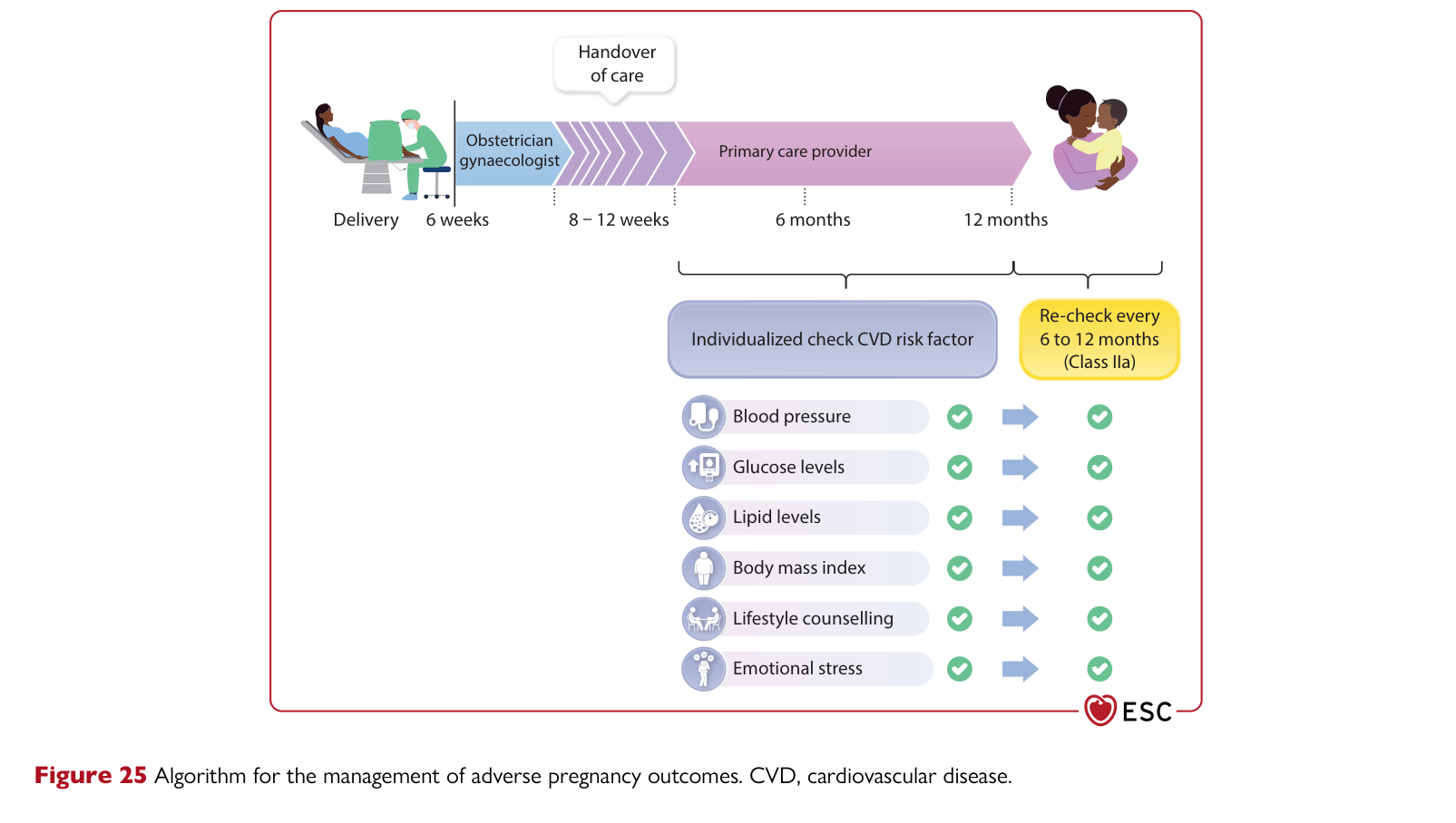 ESC 2025 Pregnancy — Figure 25 Long-term management of APO