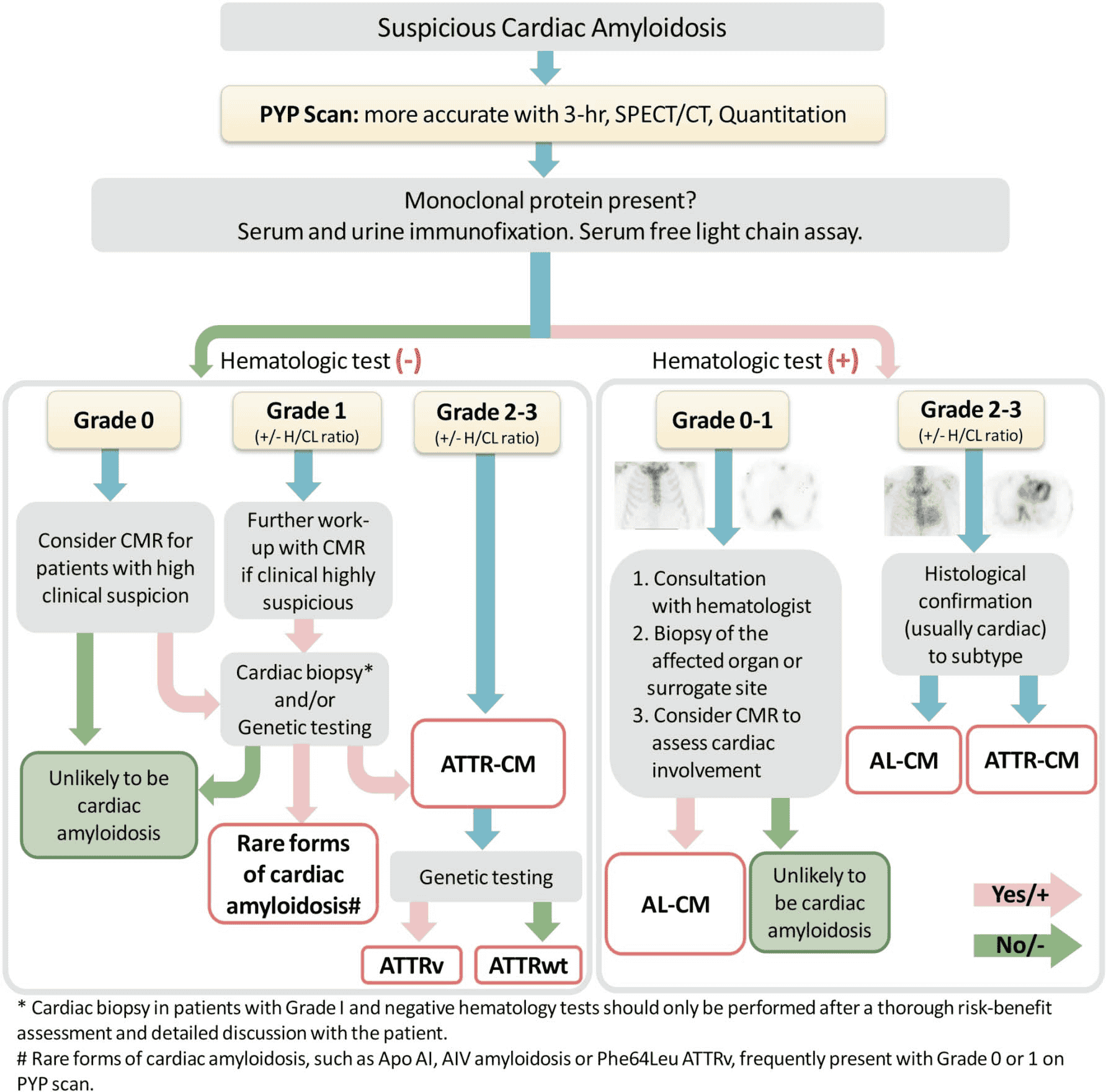 ATTR-CM PYP 共識 — Figure 1 診斷流程