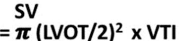 LVOT VTI 補充