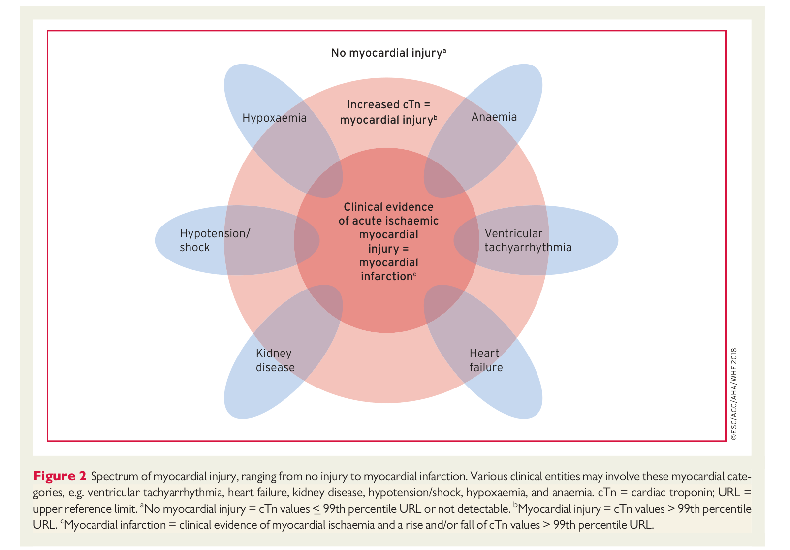 ESC 4th UDMI — Figure 2