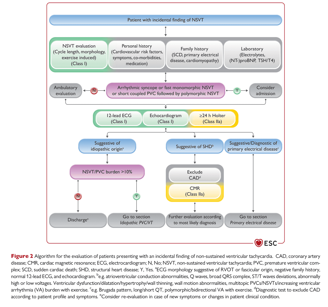 ESC va2022 — Figure 2 NSVT 評估