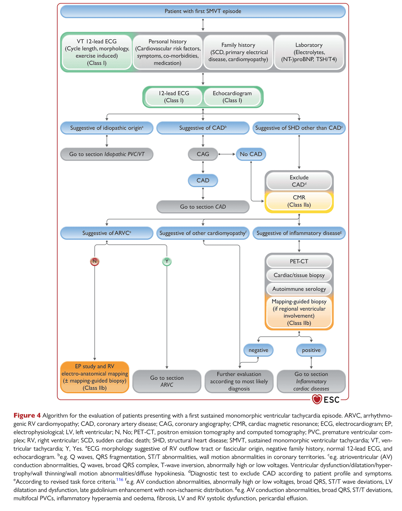 ESC va2022 — Figure 4 首次 SMVT 評估