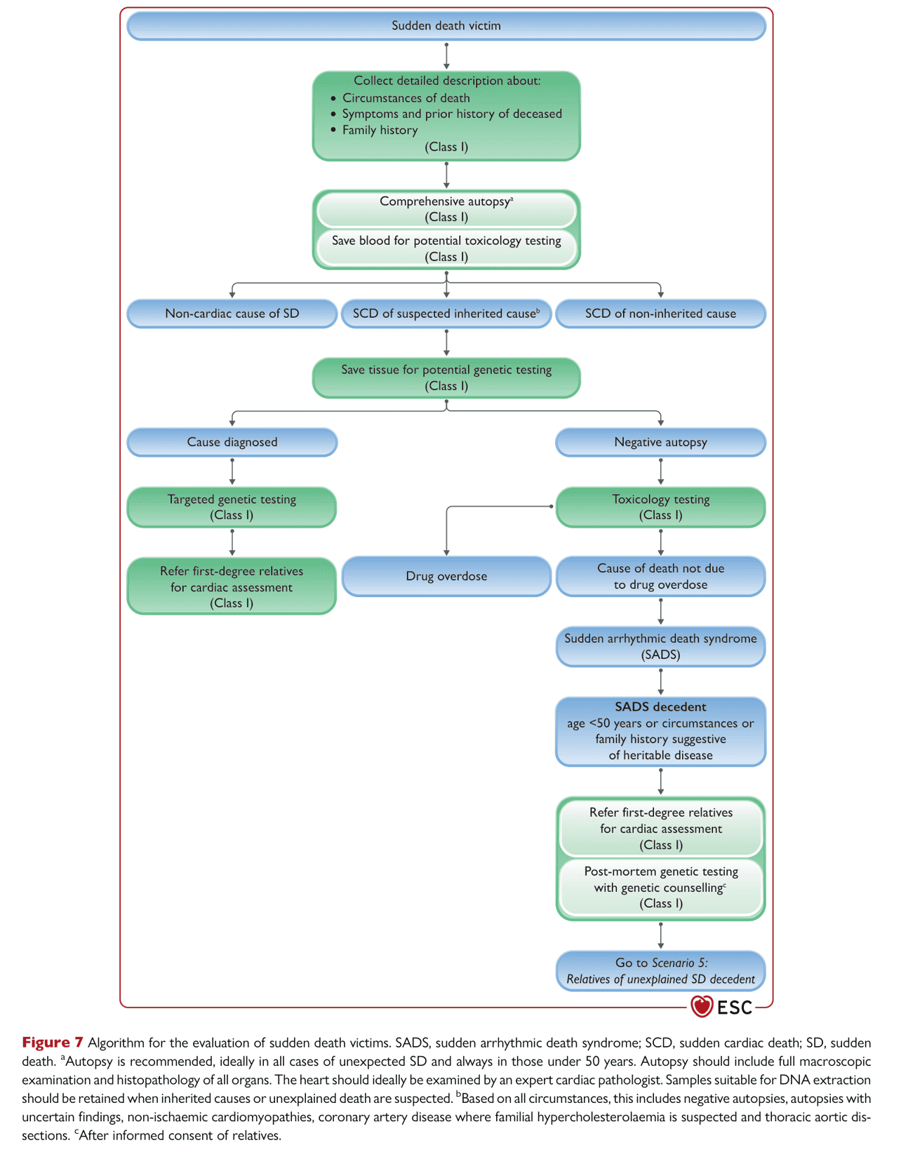 ESC va2022 — Figure 7 猝死者評估