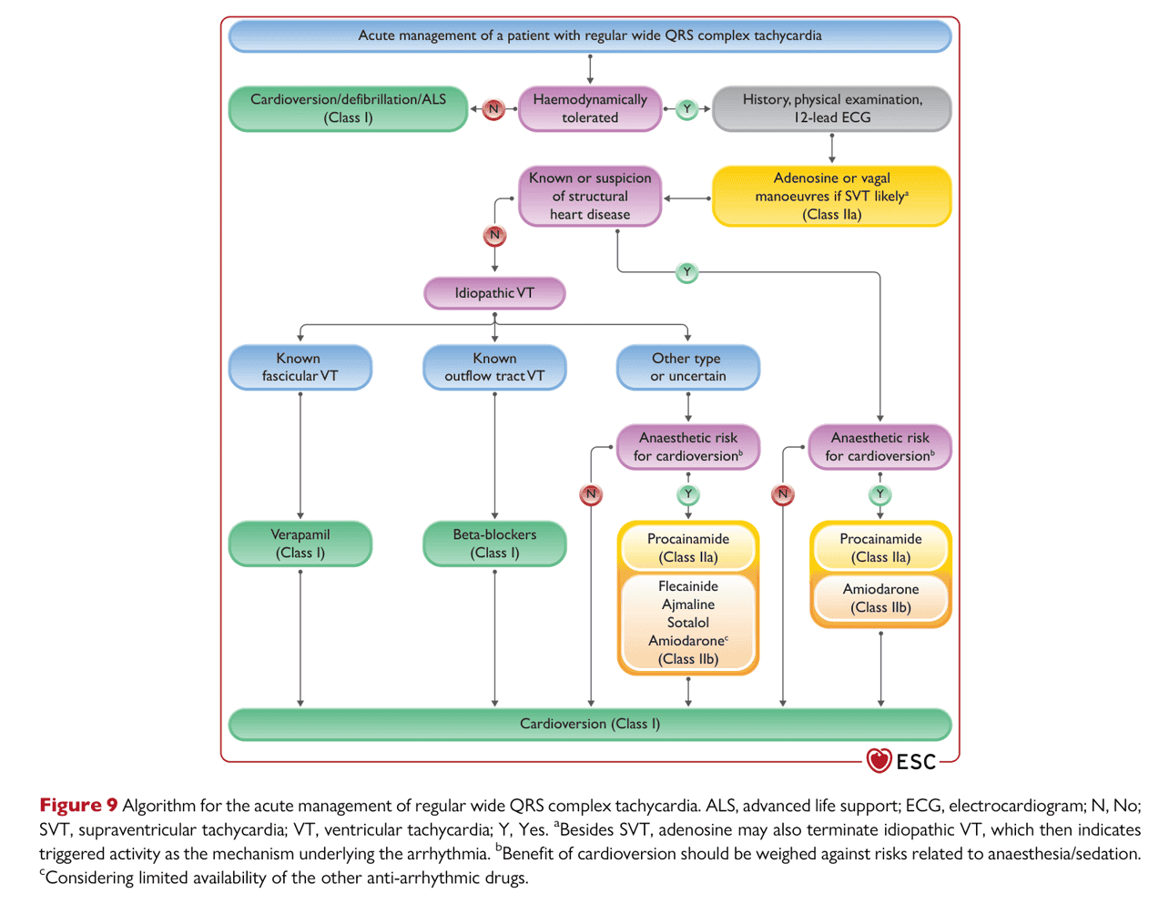 ESC va2022 — Figure 9 寬 QRS 急性處置