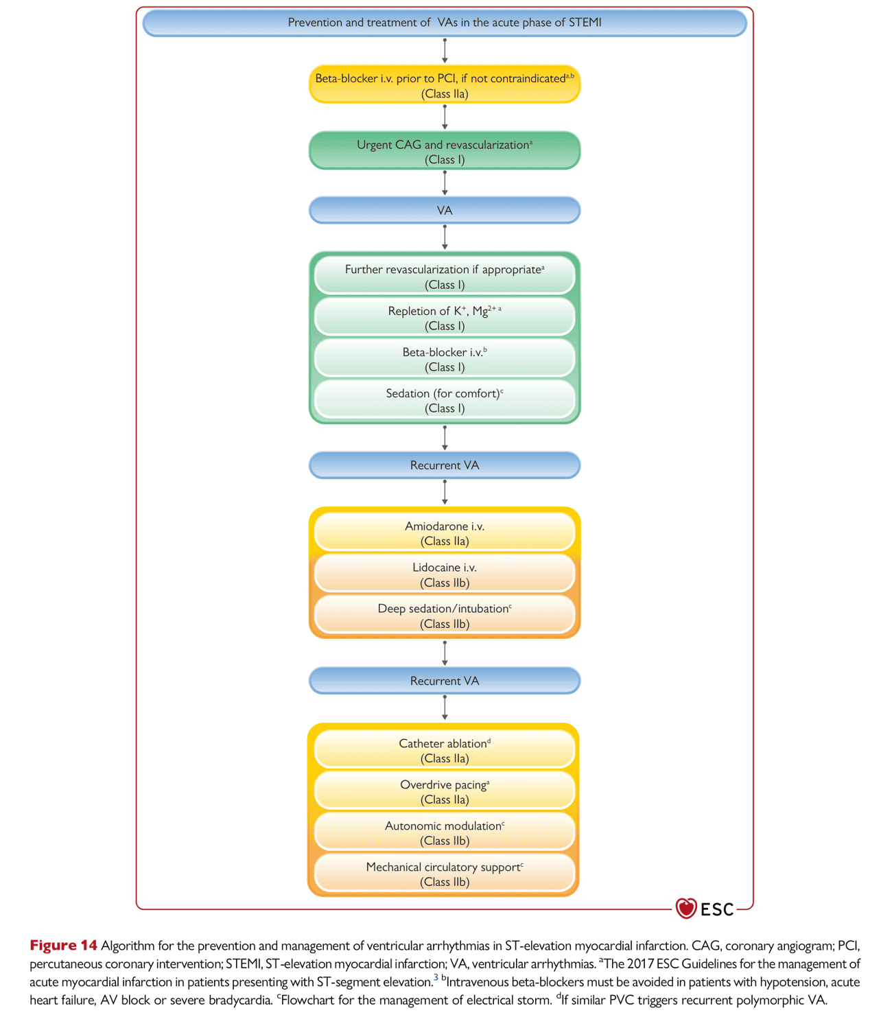 ESC va2022 — Figure 14 STEMI 急性 VA