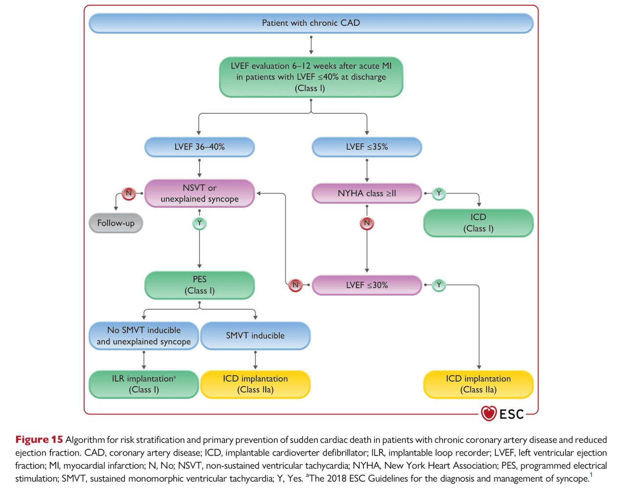 ESC va2022 — Figure 15 慢性 CAD 風險分層