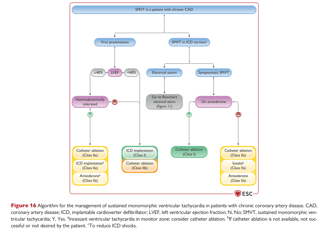 ESC va2022 — Figure 16 慢性 CAD SMVT
