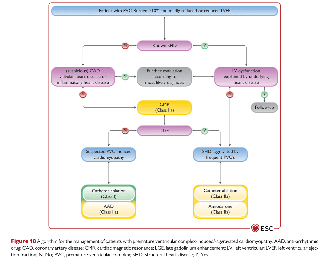 ESC va2022 — Figure 18 PVC-induced cardiomyopathy