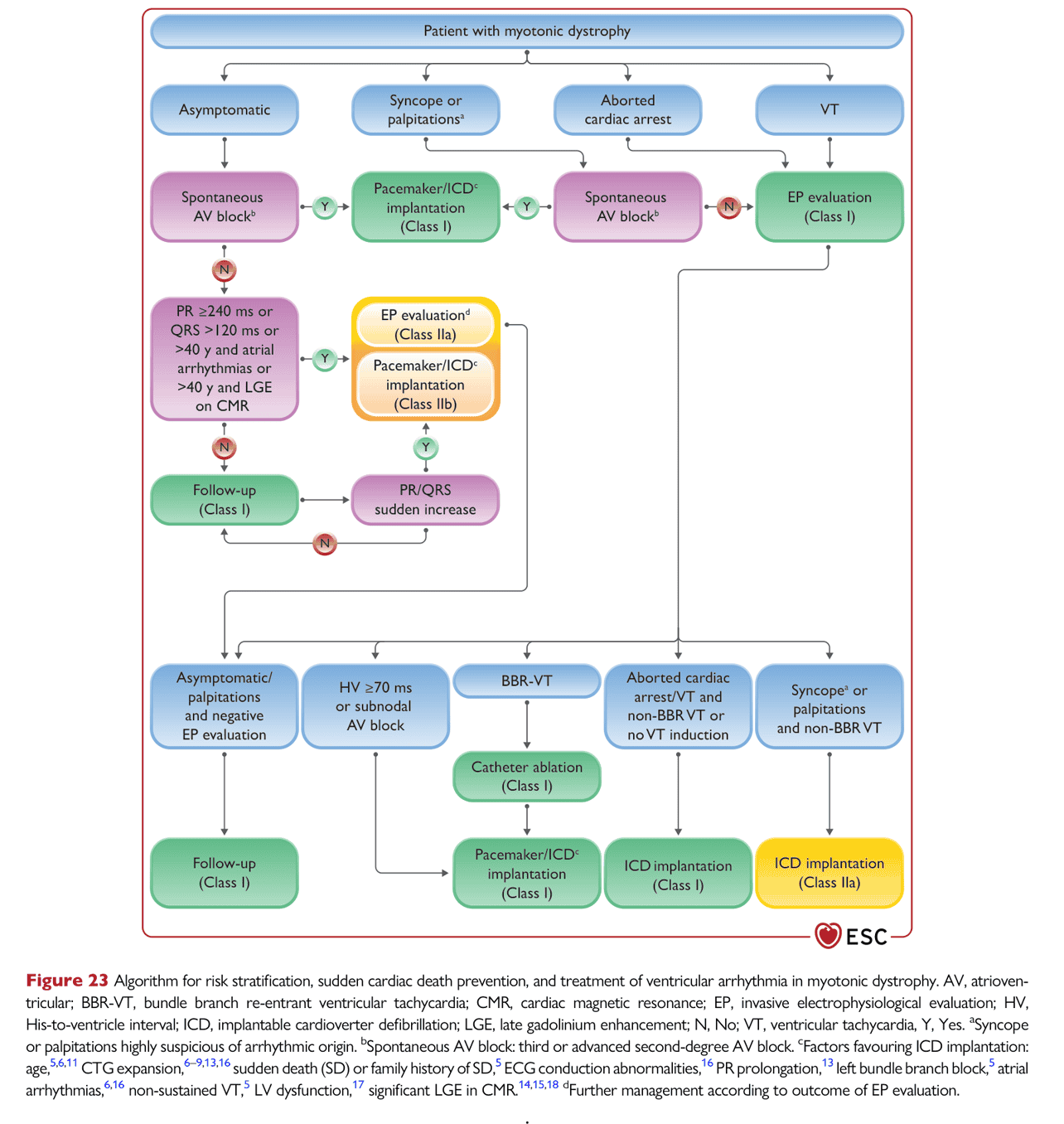 ESC va2022 — Figure 23 myotonic dystrophy