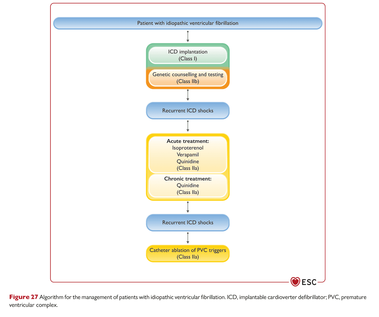 ESC va2022 — Figure 27 特發性 VF