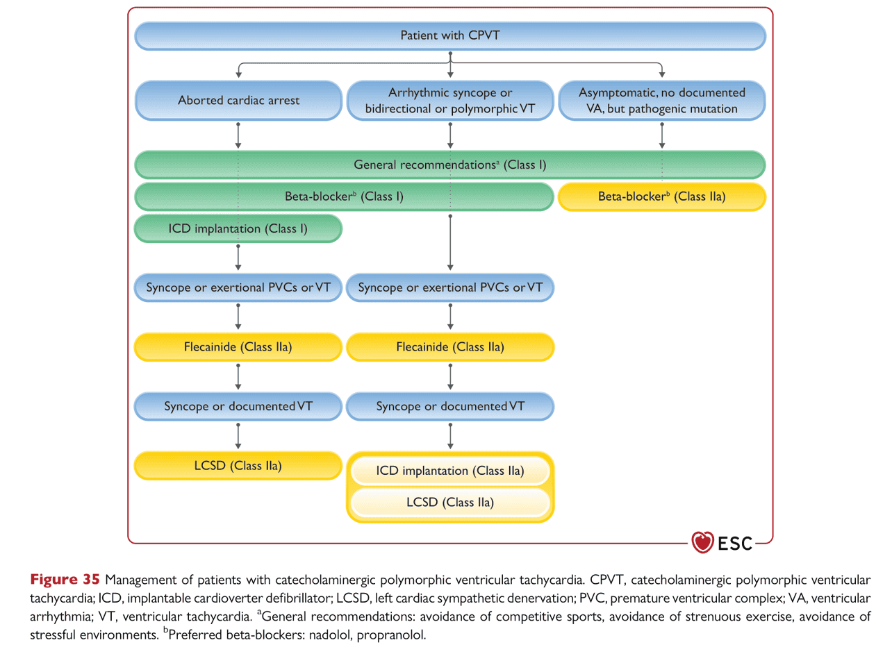 ESC va2022 — Figure 35 CPVT 管理