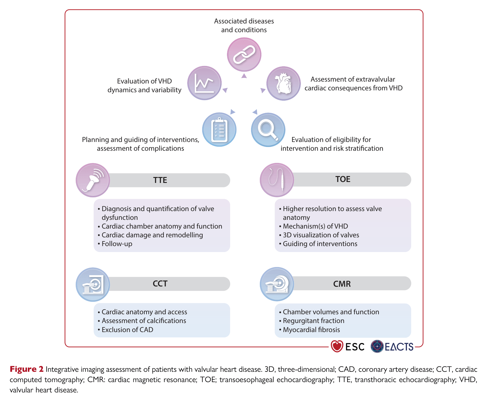 ESC VHD 2025 — Figure 2