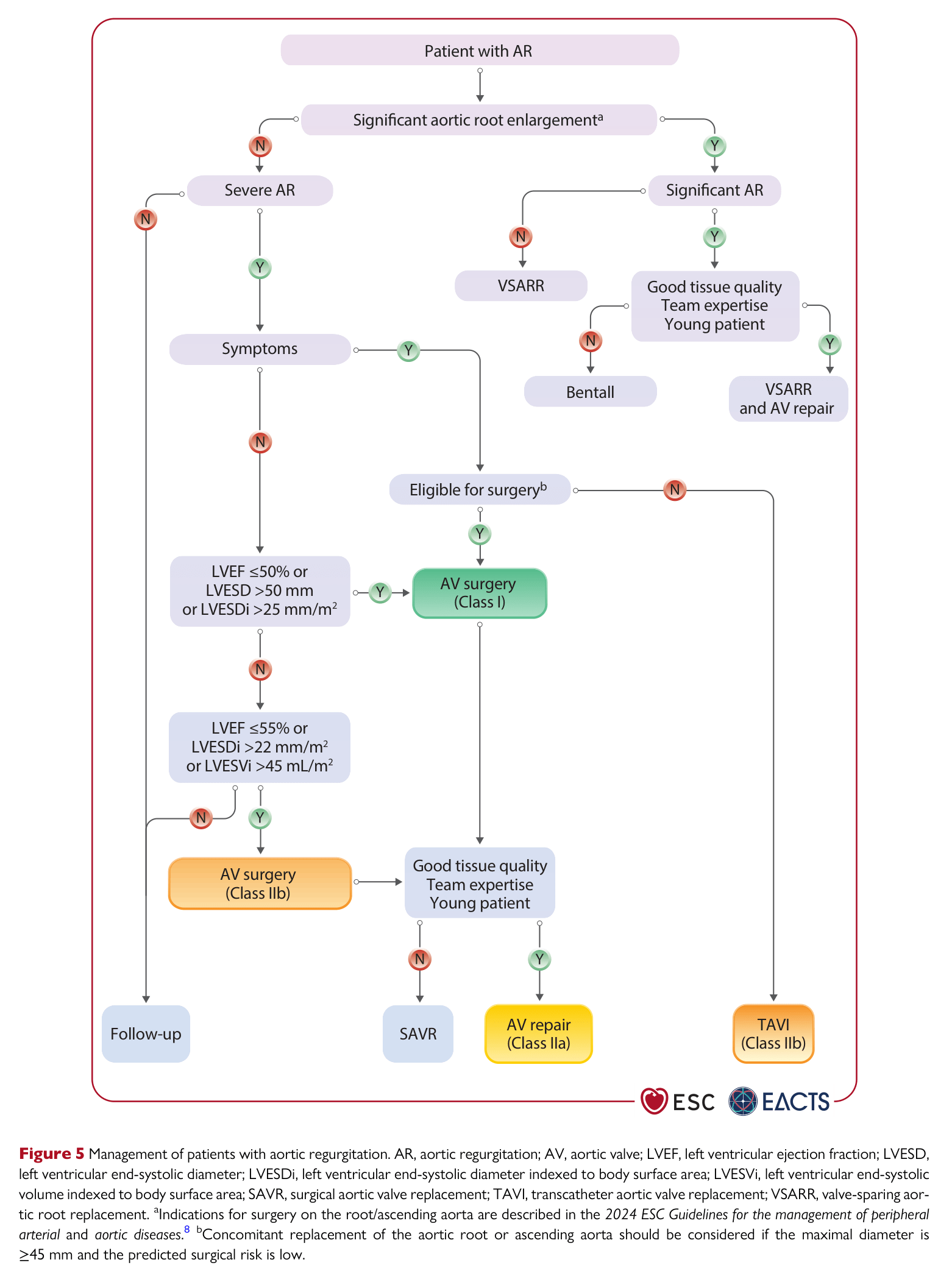 ESC VHD 2025 — Figure 5