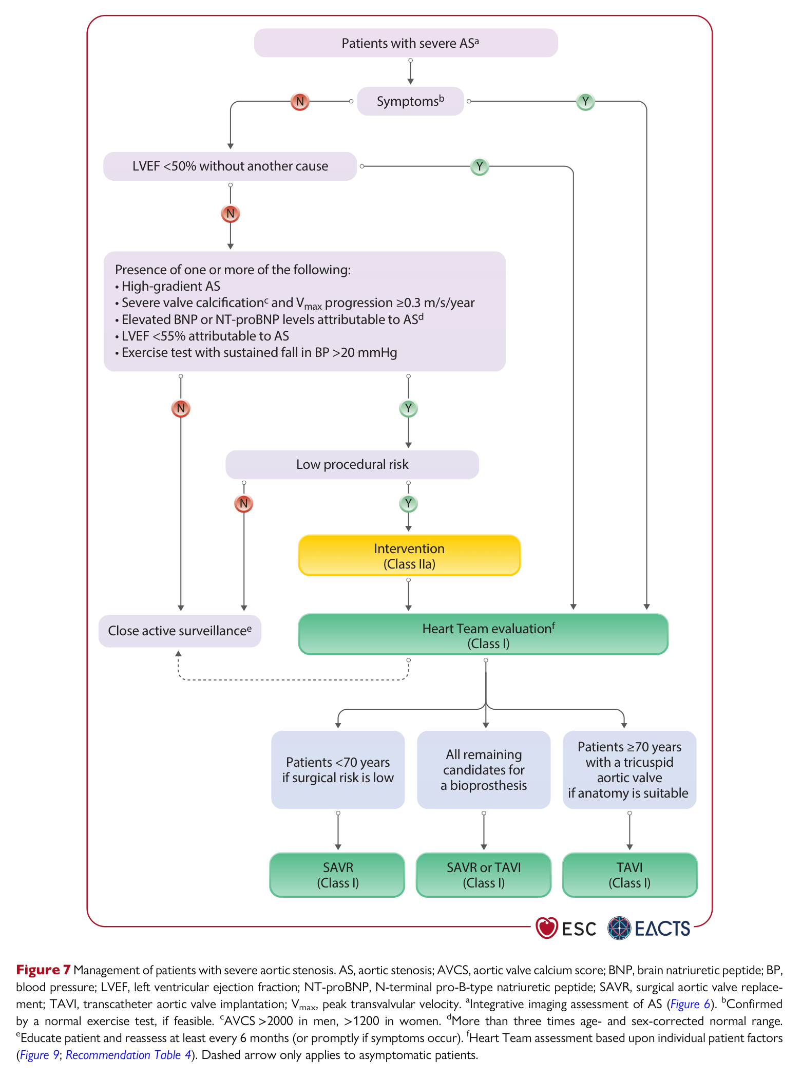 ESC VHD 2025 — Figure 7