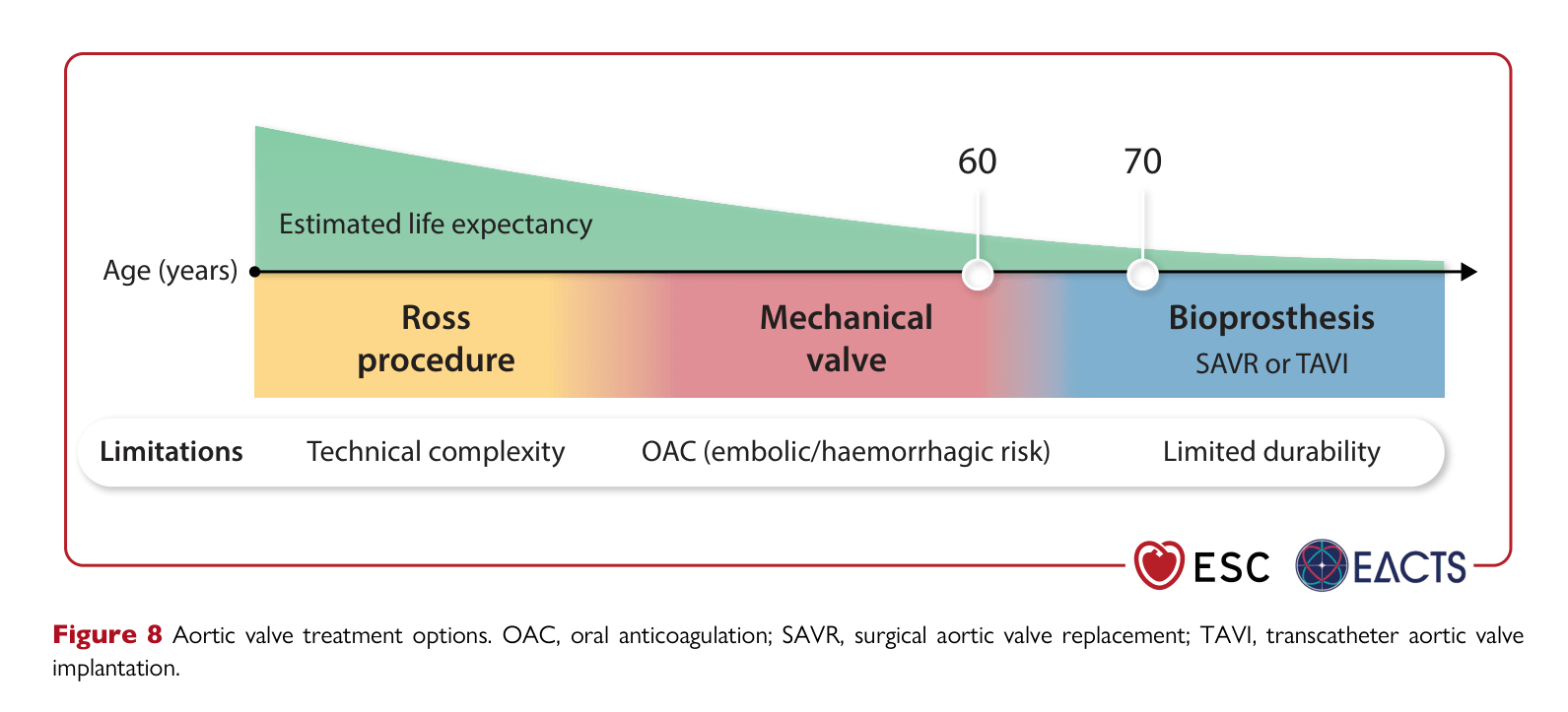 ESC VHD 2025 — Figure 8