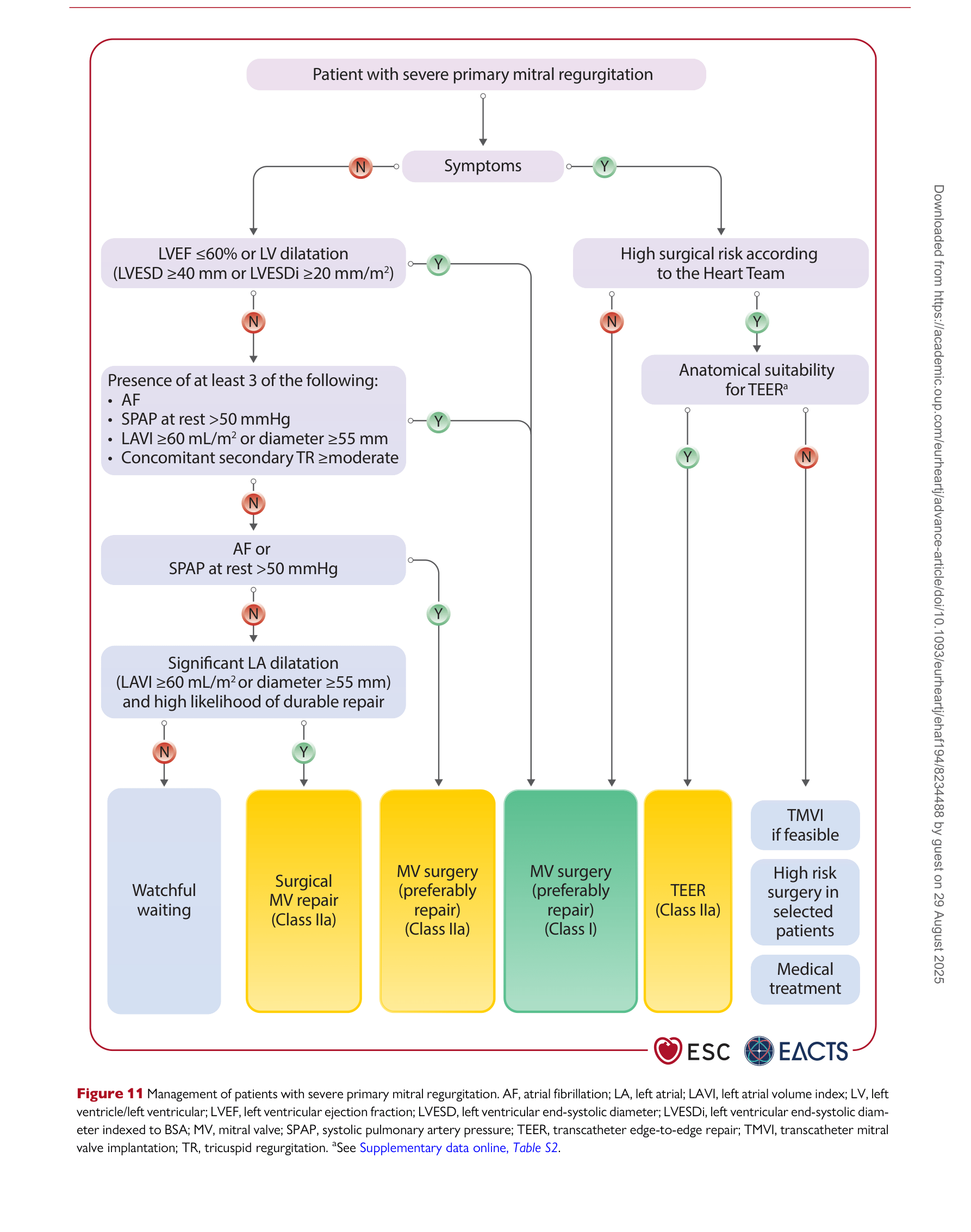 ESC VHD 2025 — Figure 11