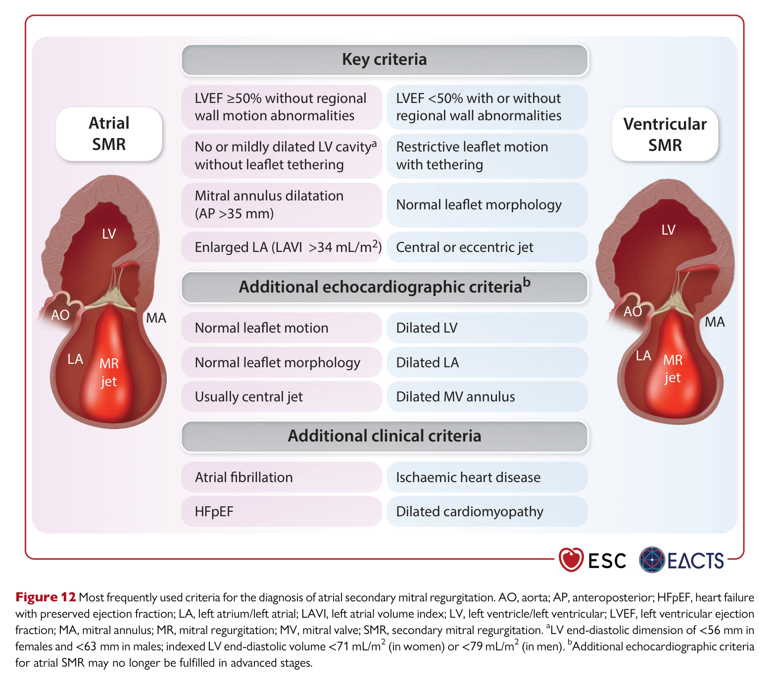 ESC VHD 2025 — Figure 12
