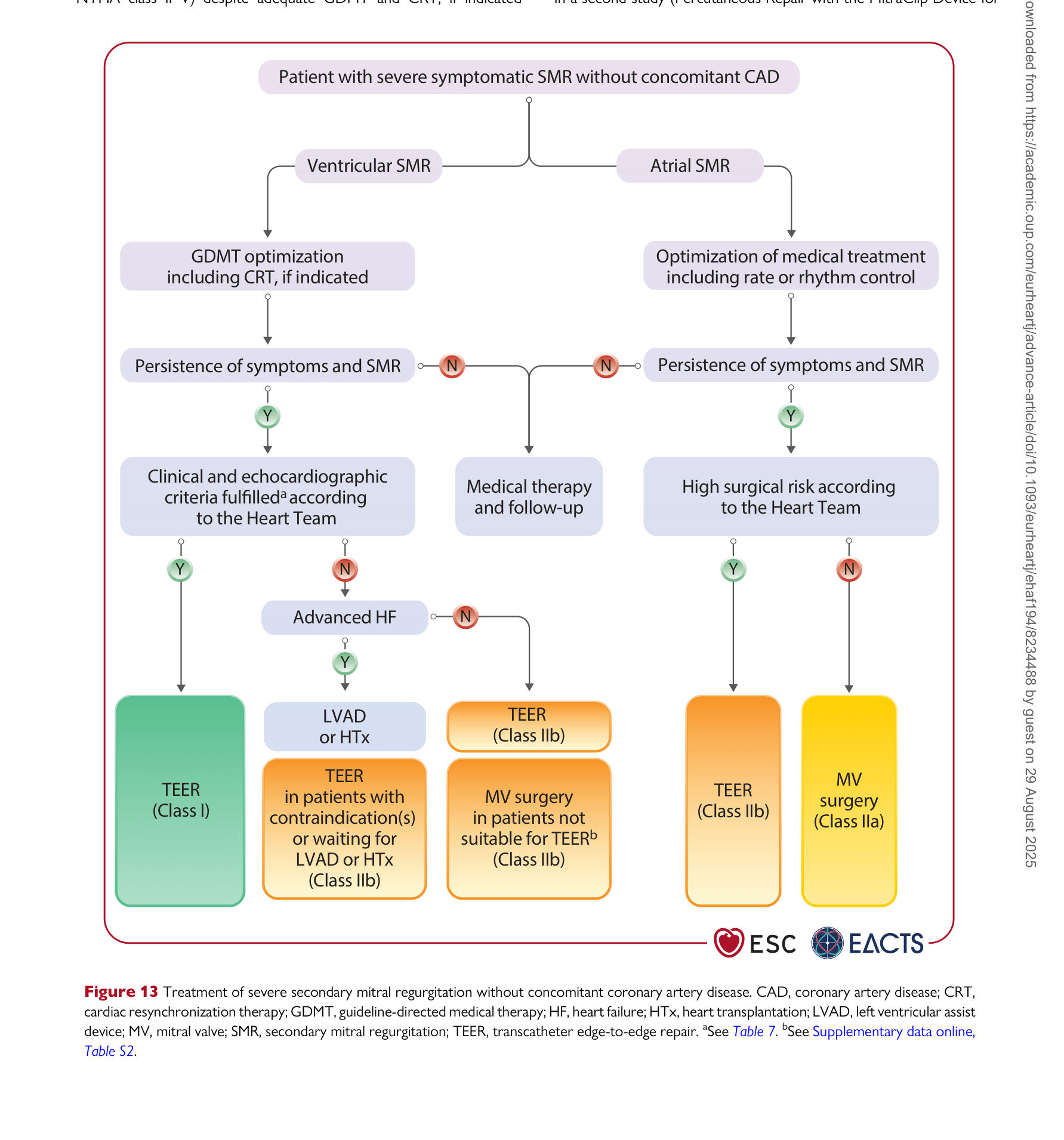 ESC VHD 2025 — Figure 13